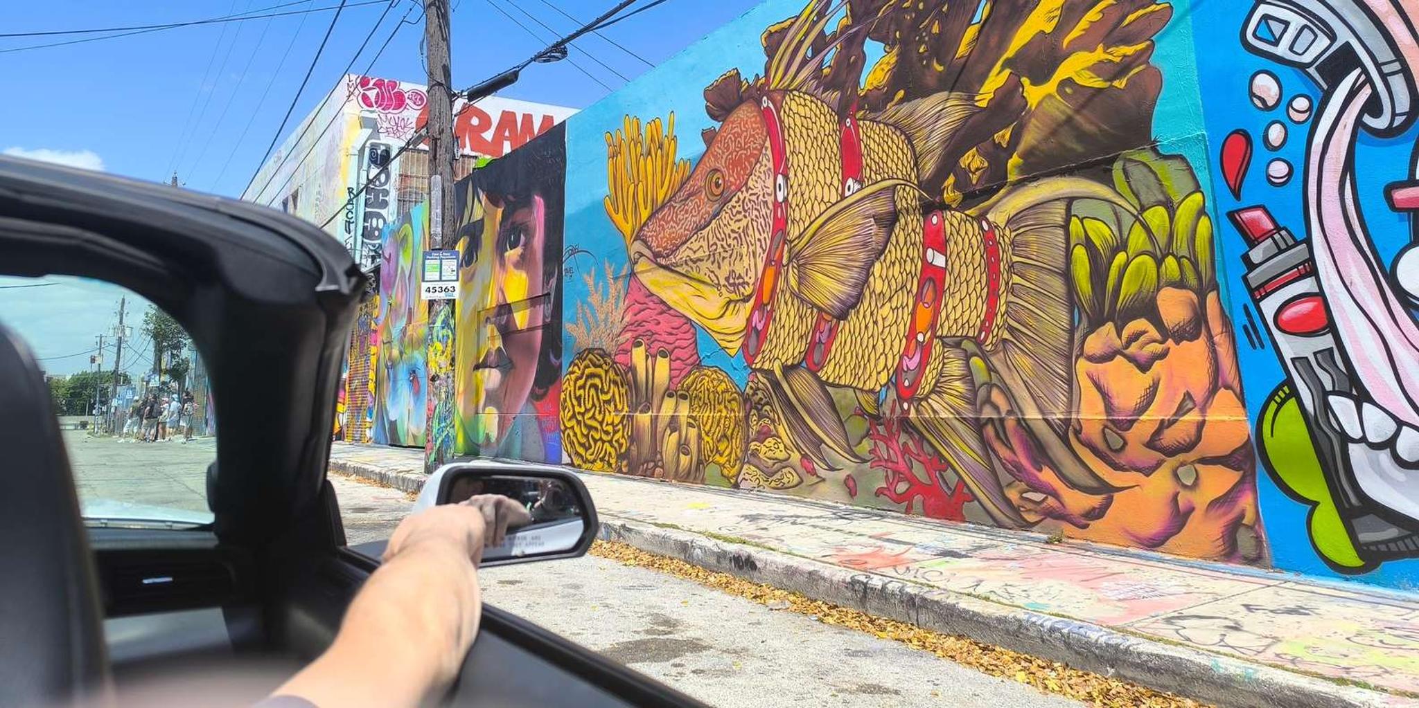 Miami Convertible Mustang Private Tour in French 3 hr - Image 3