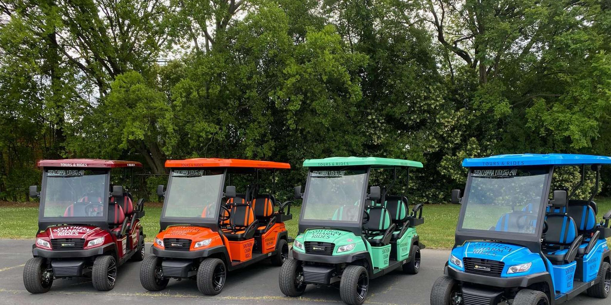 Charlotte Historical City Golf Cart Tour - Image 5