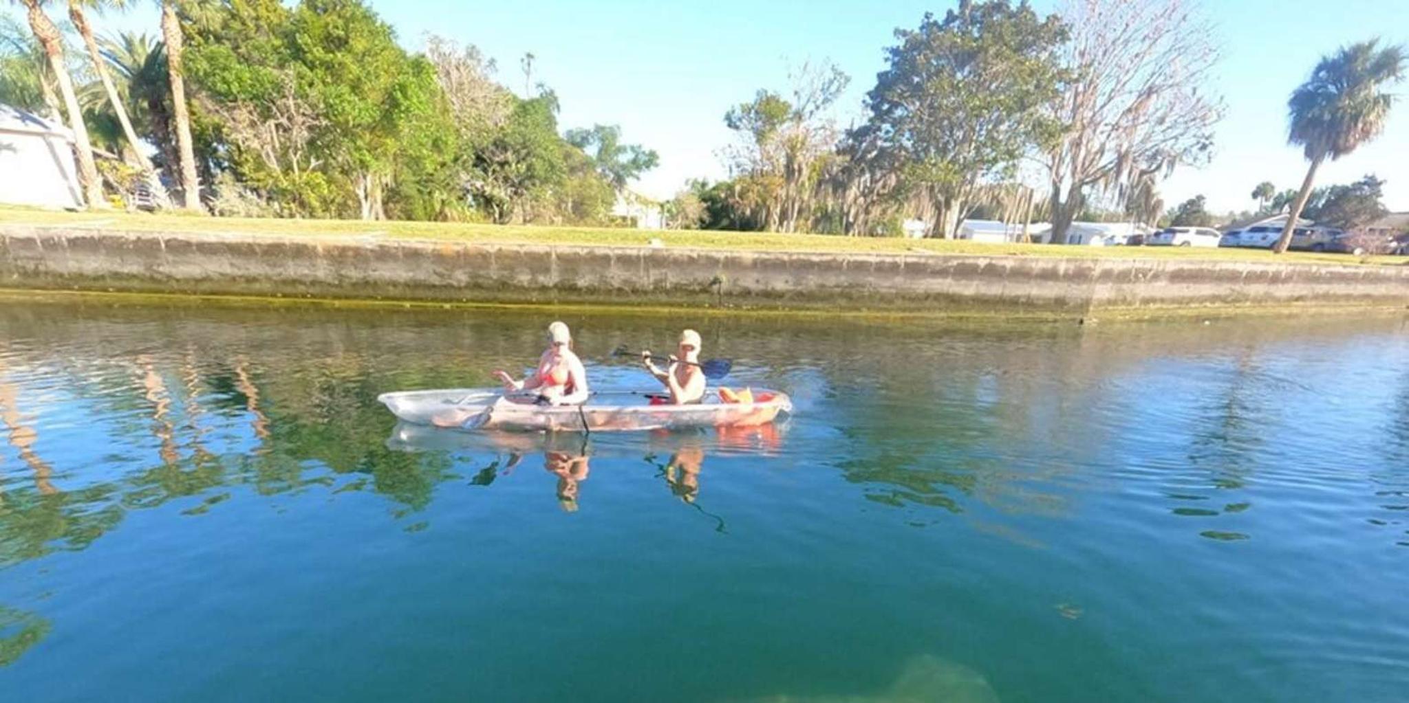Crystal River Clear Kayak and Manatee Tour - Image 5