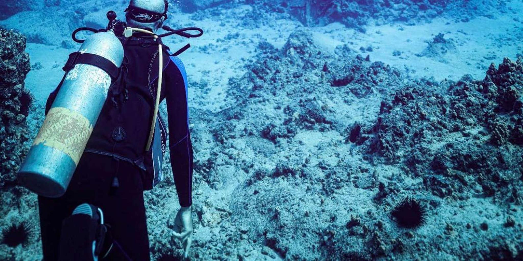 Kailua-Kona Scuba Diving Adventure 4 hr - Image 2