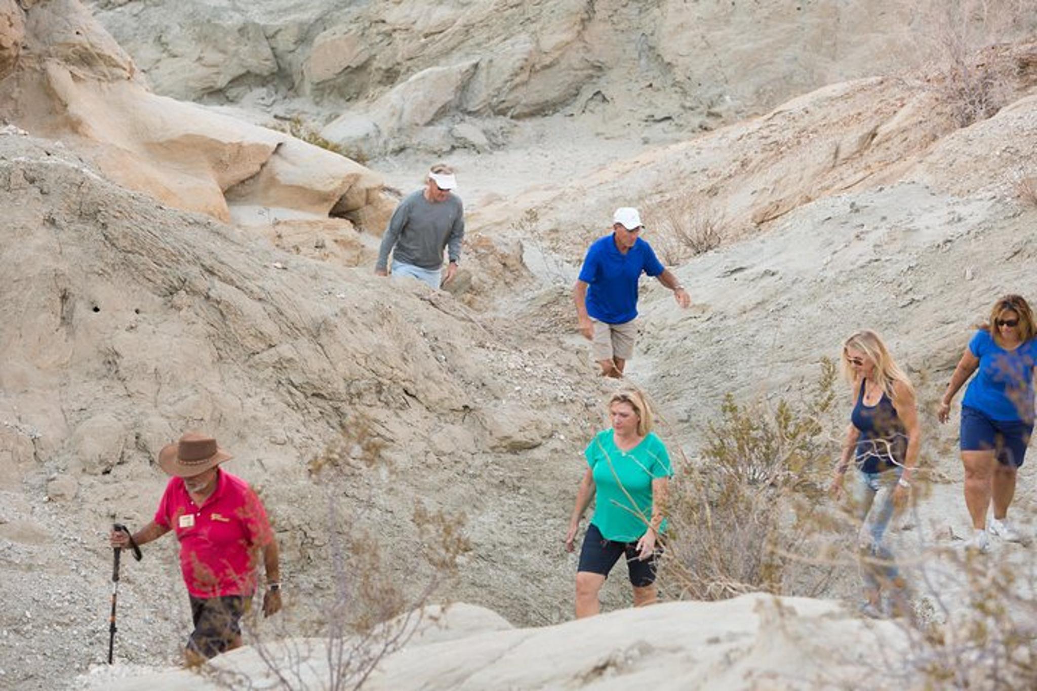 Palm Desert San Andreas Fault Jeep Tour - Image 5