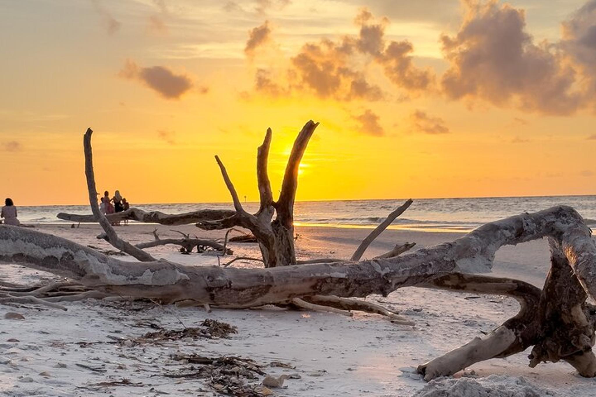 St. Pete Dolphin Watching and Island Sunset Cruise - Image 5