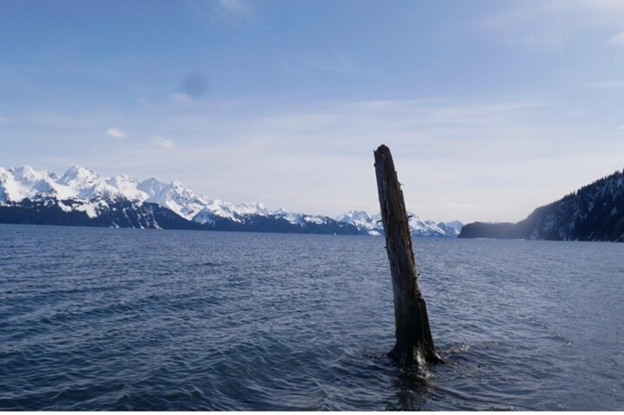Seward Tonsina Beach Hike - Image 2