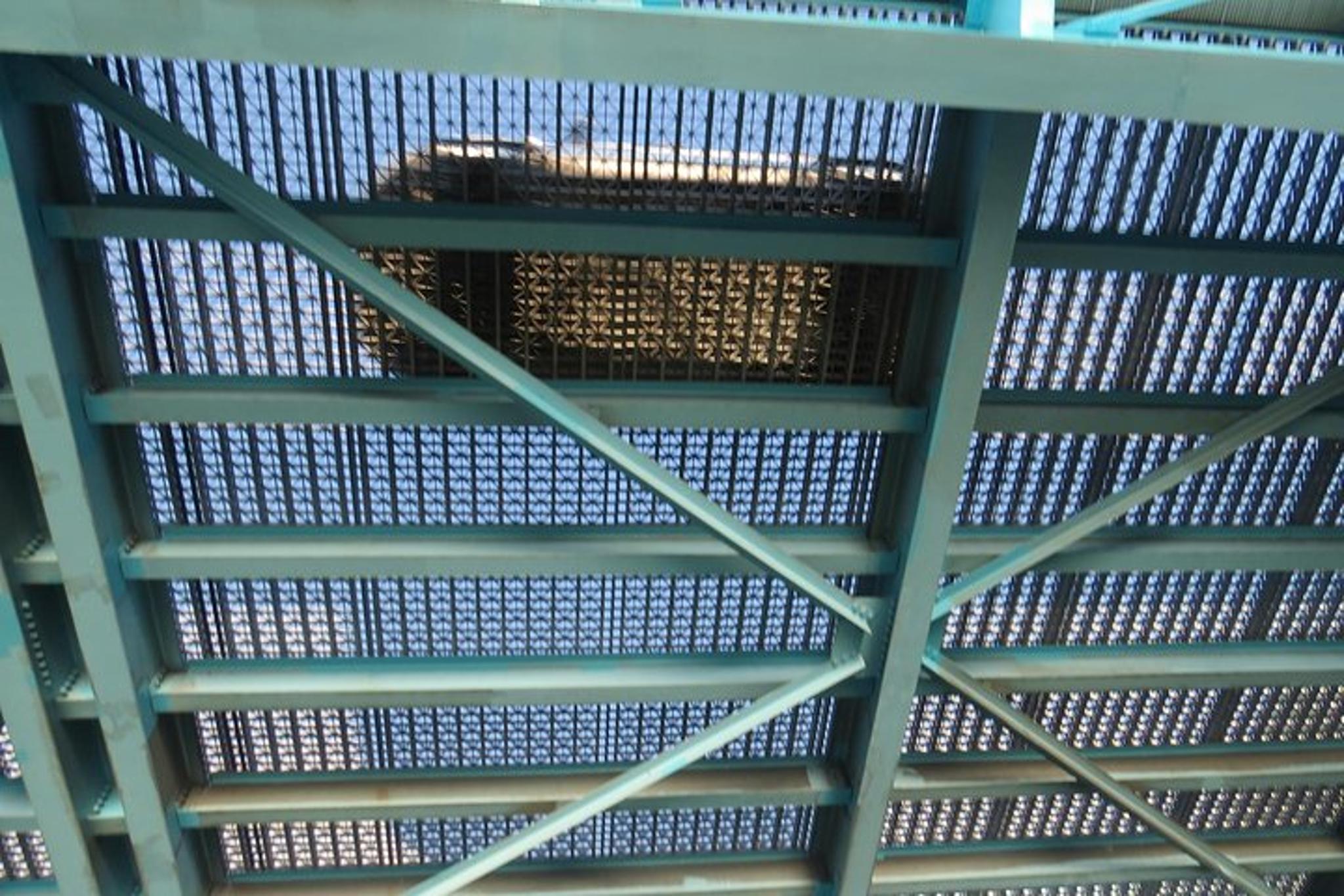 Gulf of Mexico Sunset Cruise - Image 3