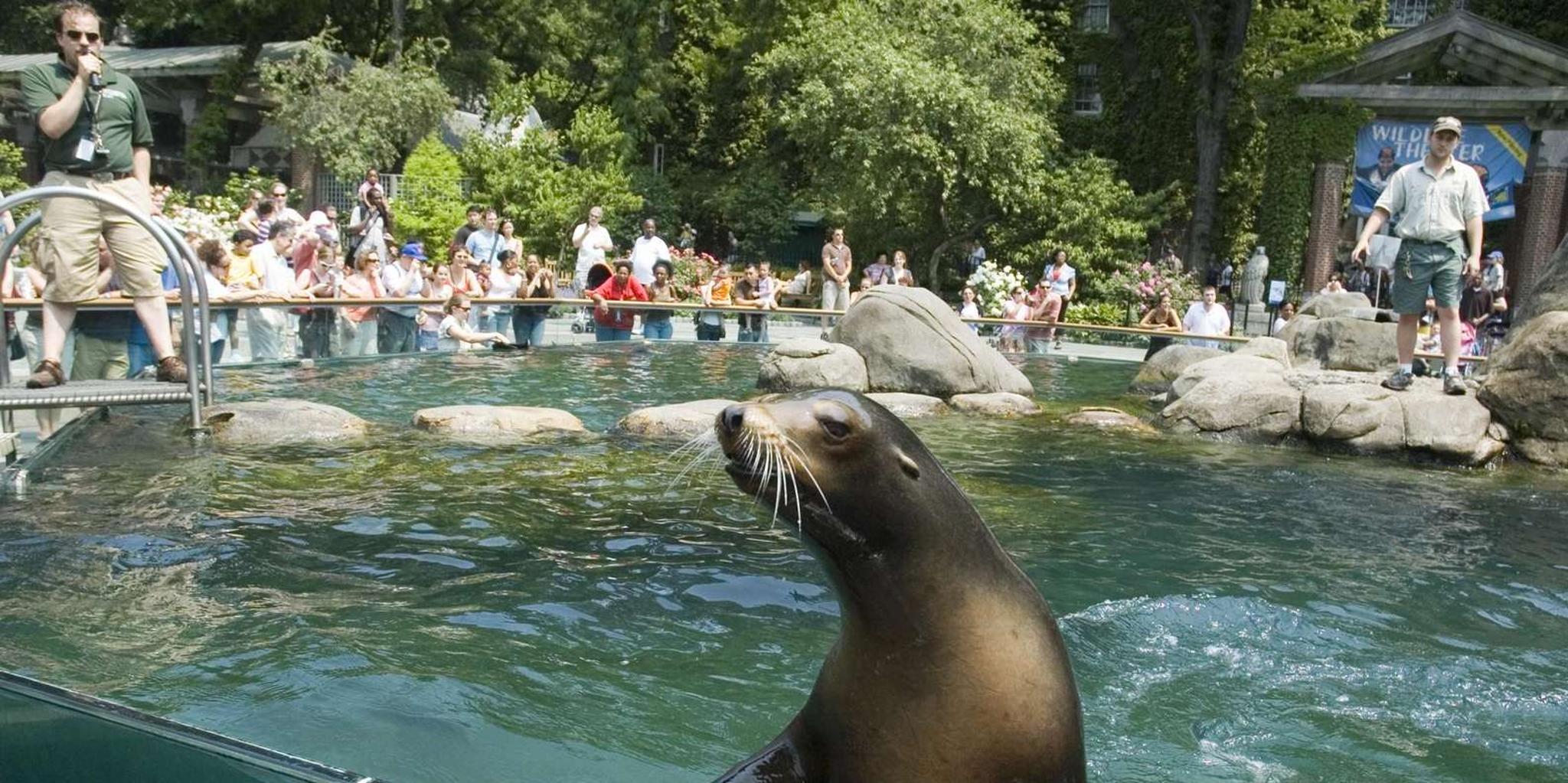 New York City Central Park Zoo and Walking Tour