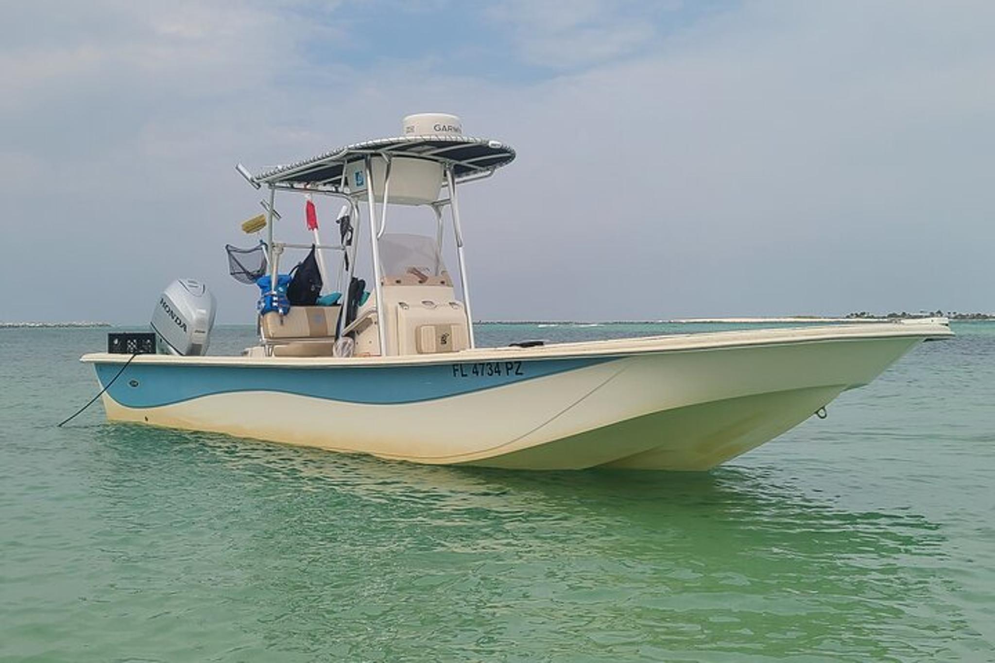 Panama City Eco Dolphin Tour - Image 3