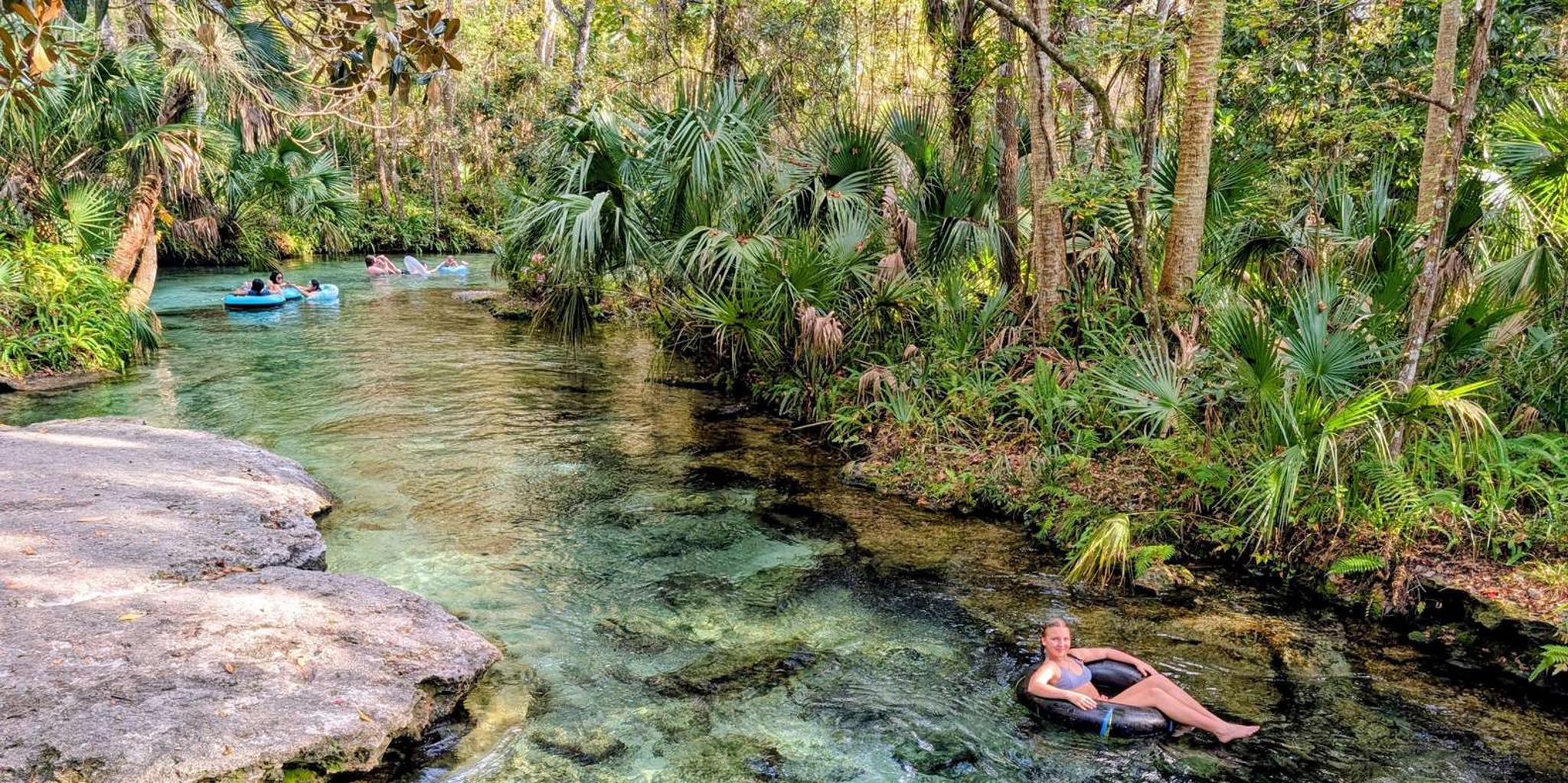 Orlando Everglades Airboat Tour - Image 1