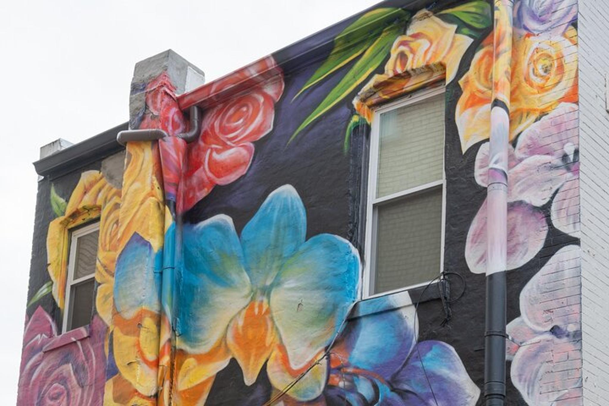 Washington D.C. Metro Neighborhoods Tour - Image 3