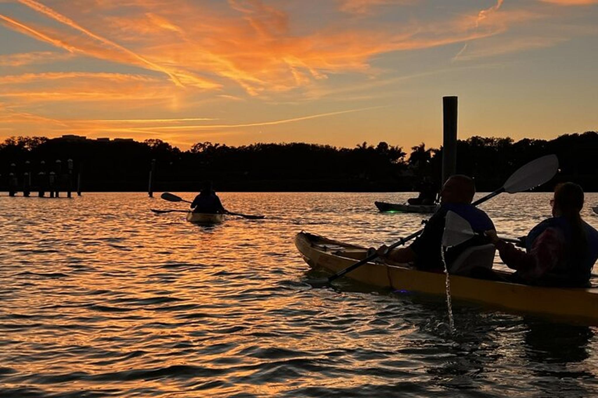 Sarasota Glass Bottom Kayak LED Night Tour - Image 6