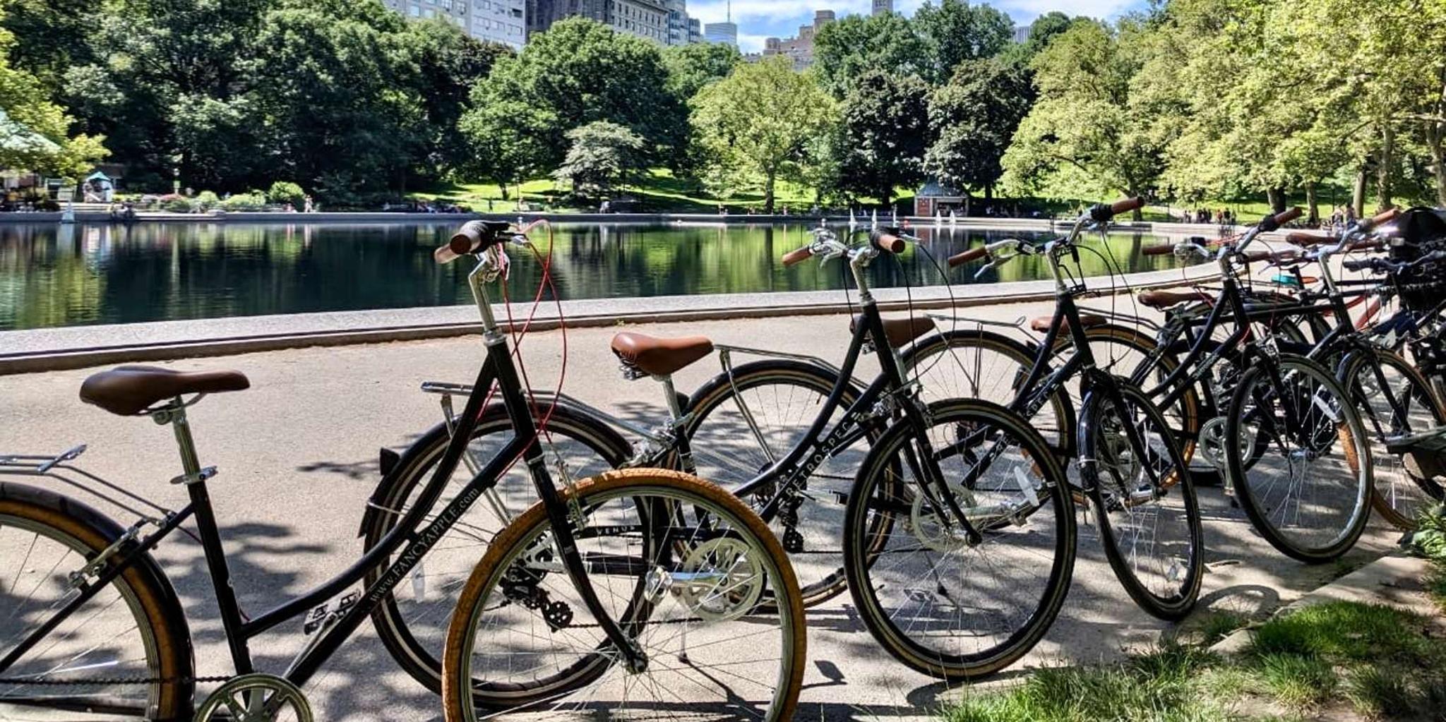 New York Central Park Bike Tour - Image 6