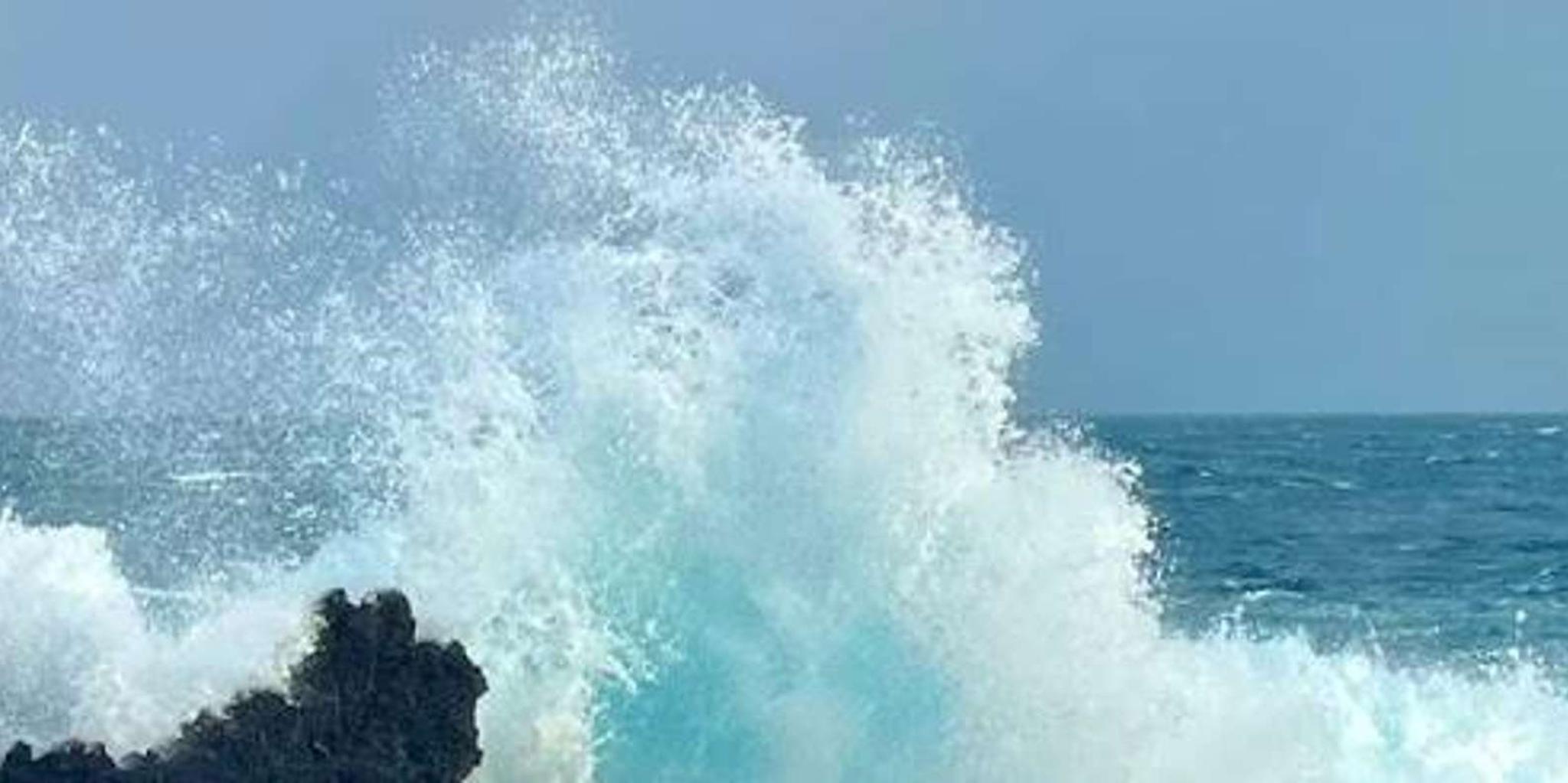 Kona Hamakua Coast Guided Day Trip - Image 3