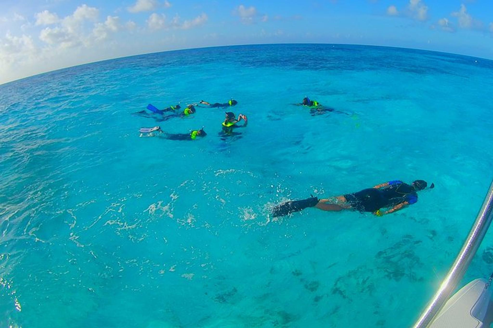 Key Largo Snorkeling Tour to John Pennekamp Coral Reef