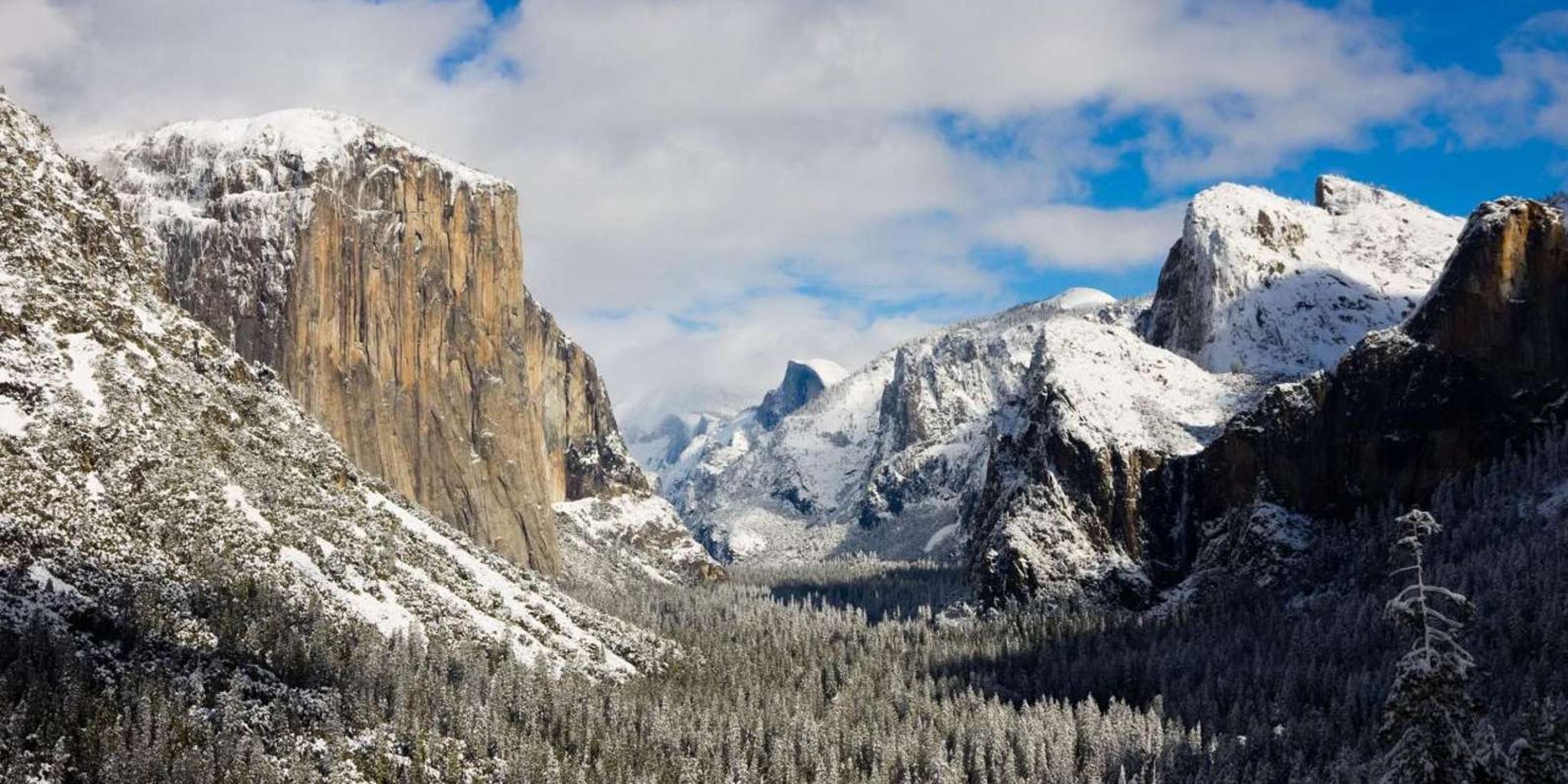 San Francisco Yosemite National Park Day Tour - Image 3
