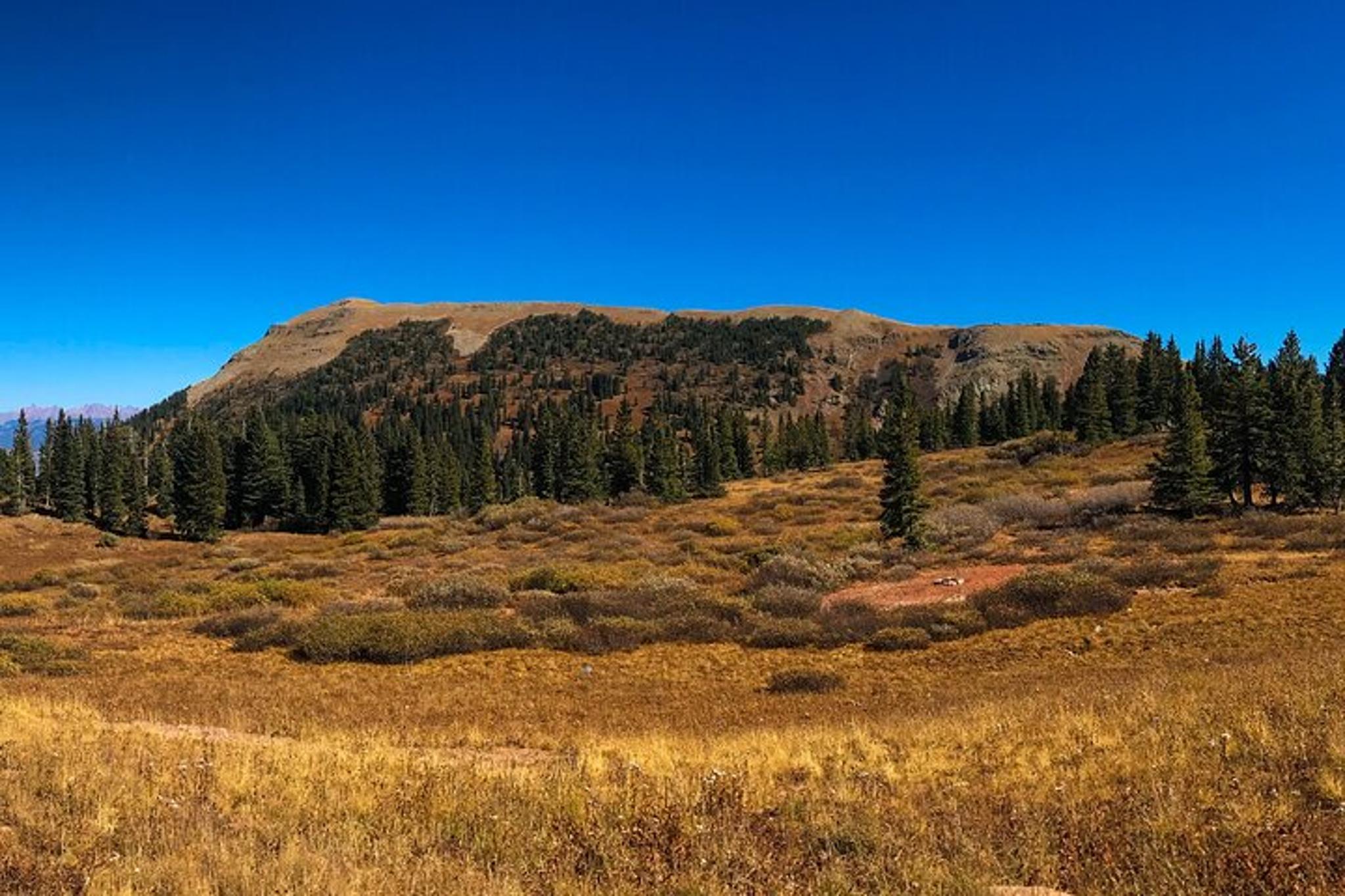 Durango Jeep Tour in La Plata Canyon 4 hr - Image 4