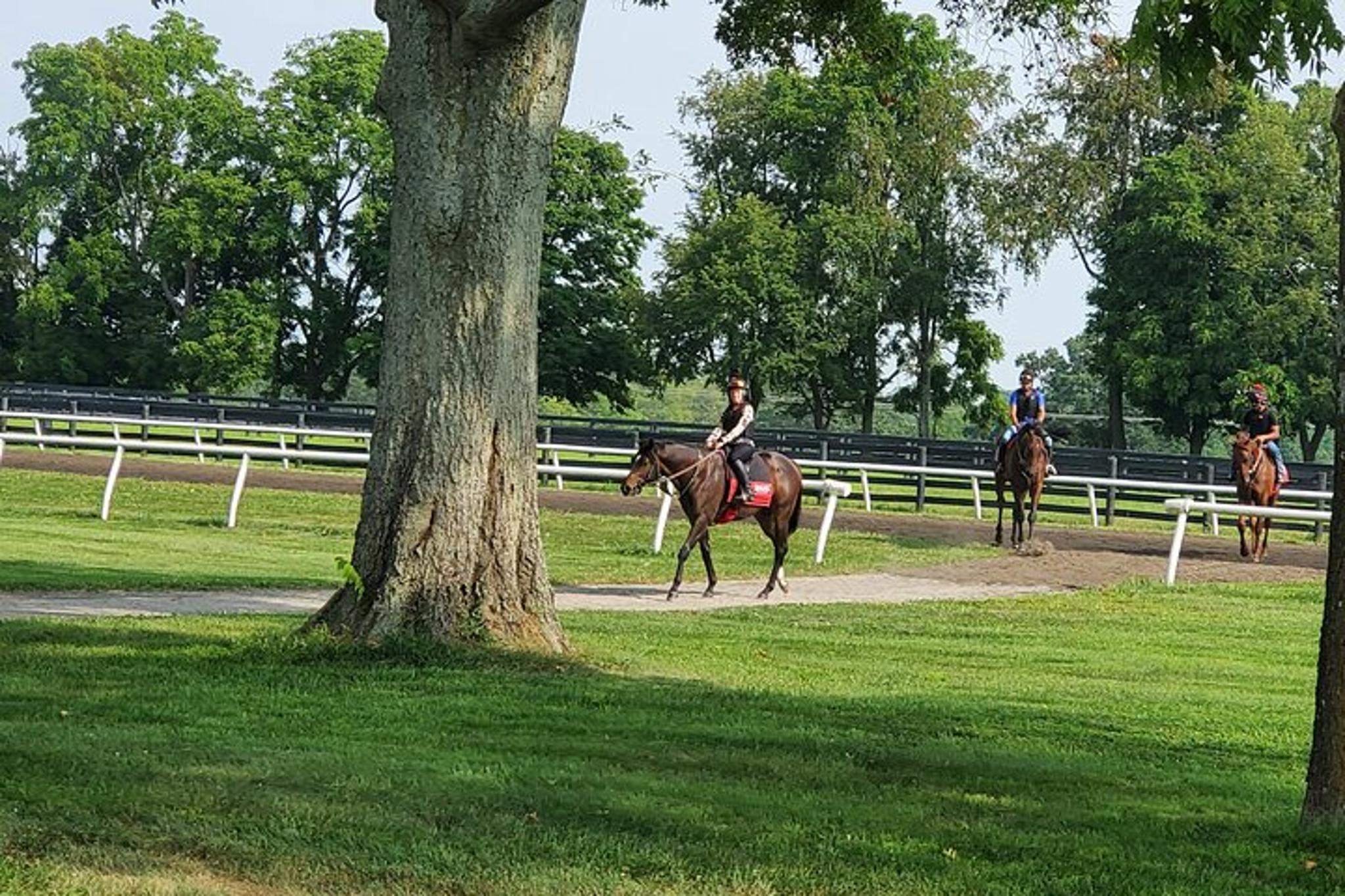 Lexington Farm Tour with Clay Pigeon Shooting