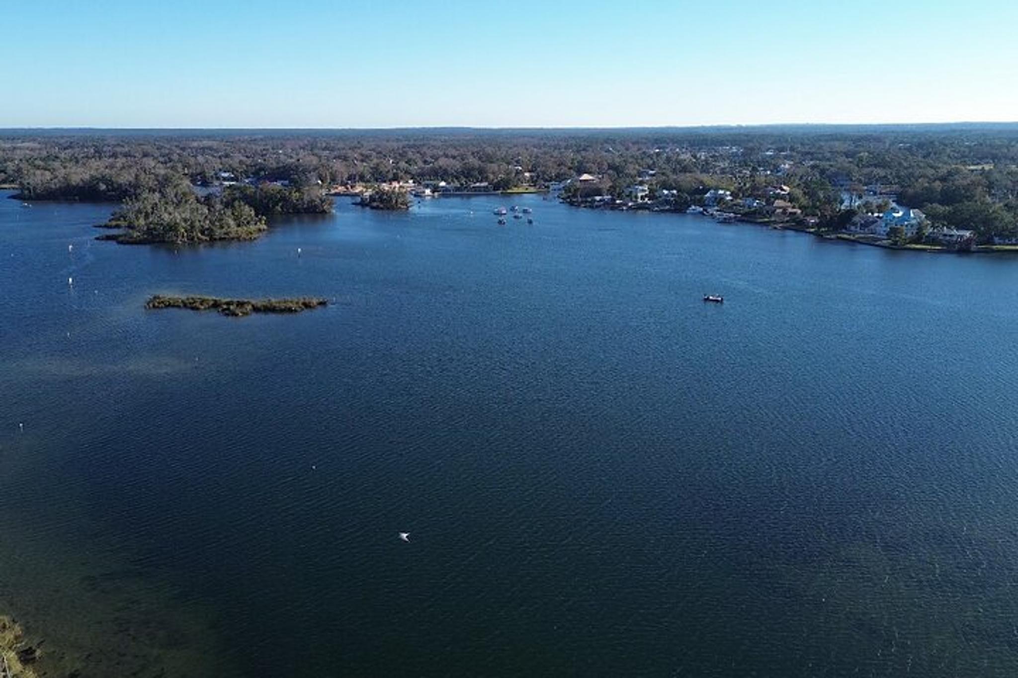 Kings Bay Eco Tour - Image 3
