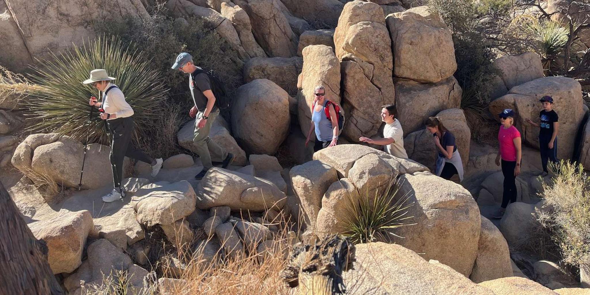 Joshua Tree National Park Sightseeing Tour - Image 3