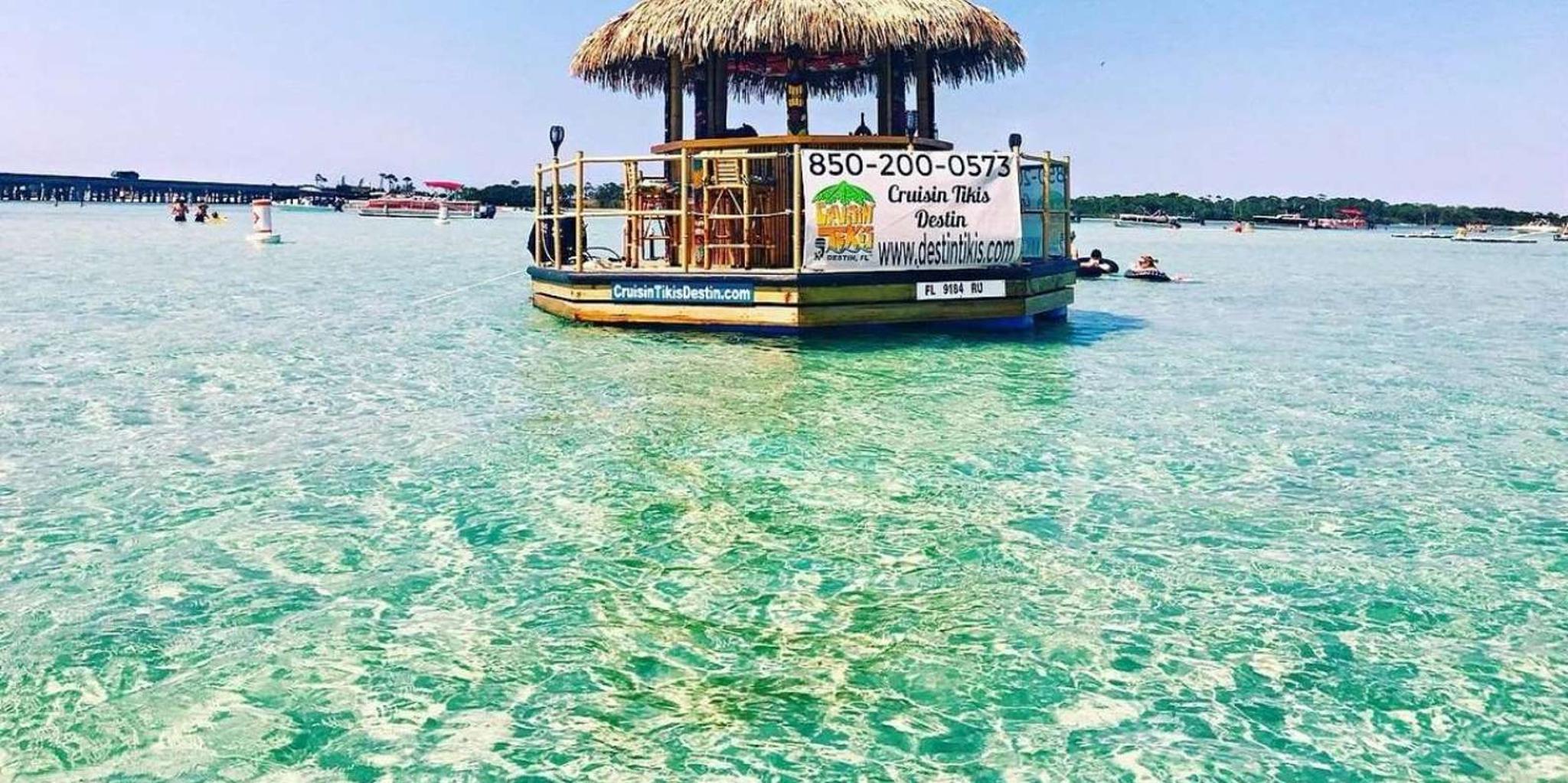 Destin Shark Tooth and Sea Shell Scavenger Hunt Cruise 1.5 hr - Image 5