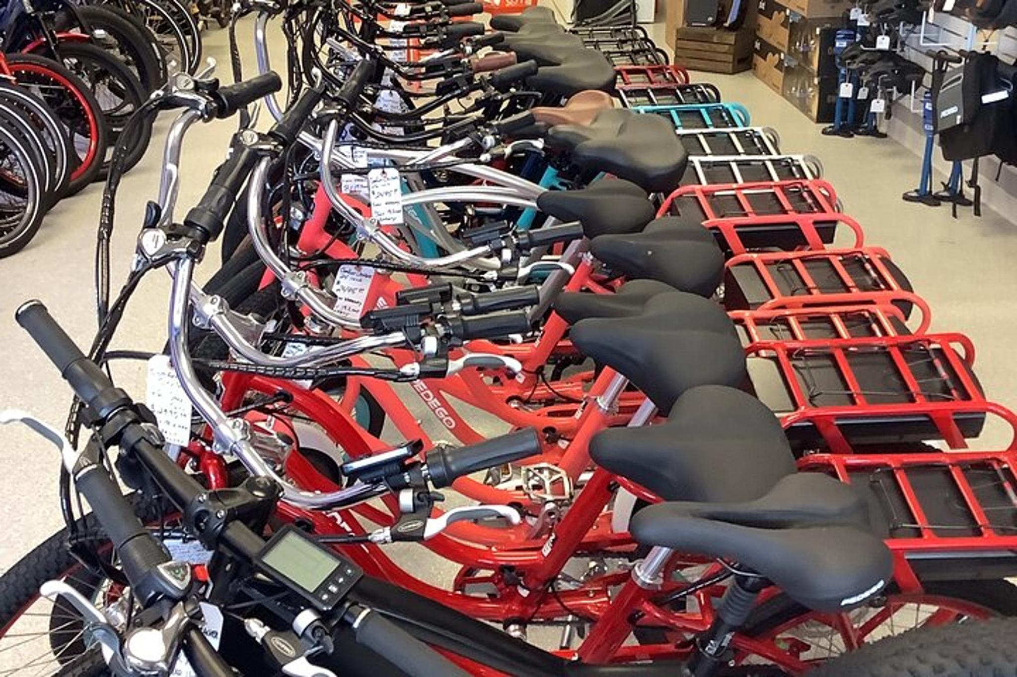 Dunedin Electric Bike Rental - Image 3