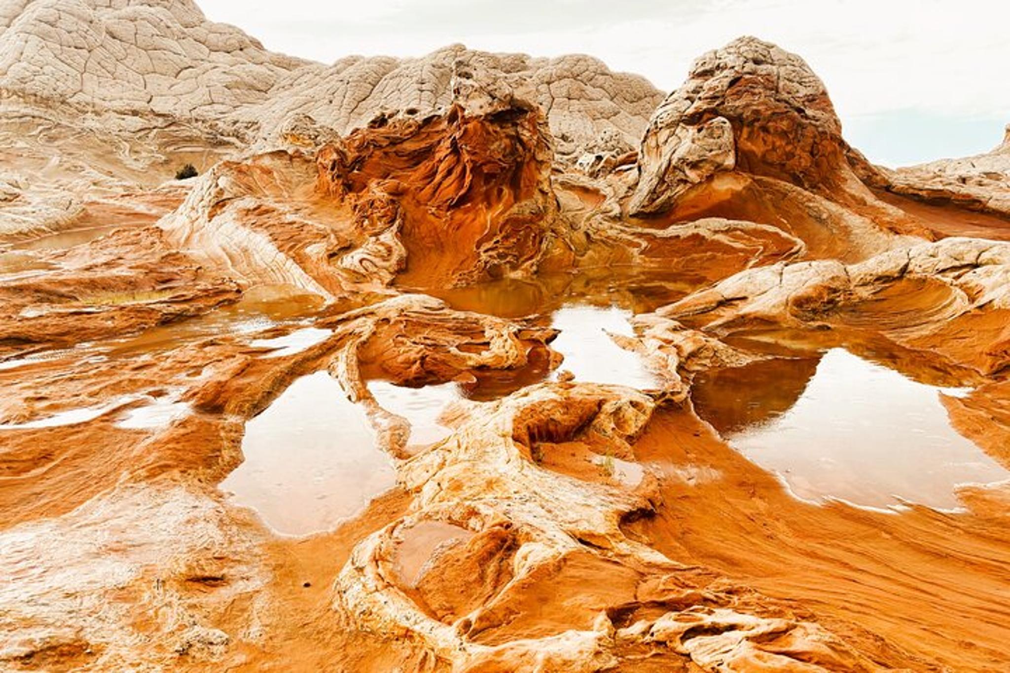 Vermilion Cliffs White Pocket Off-Road & Hike Adventure