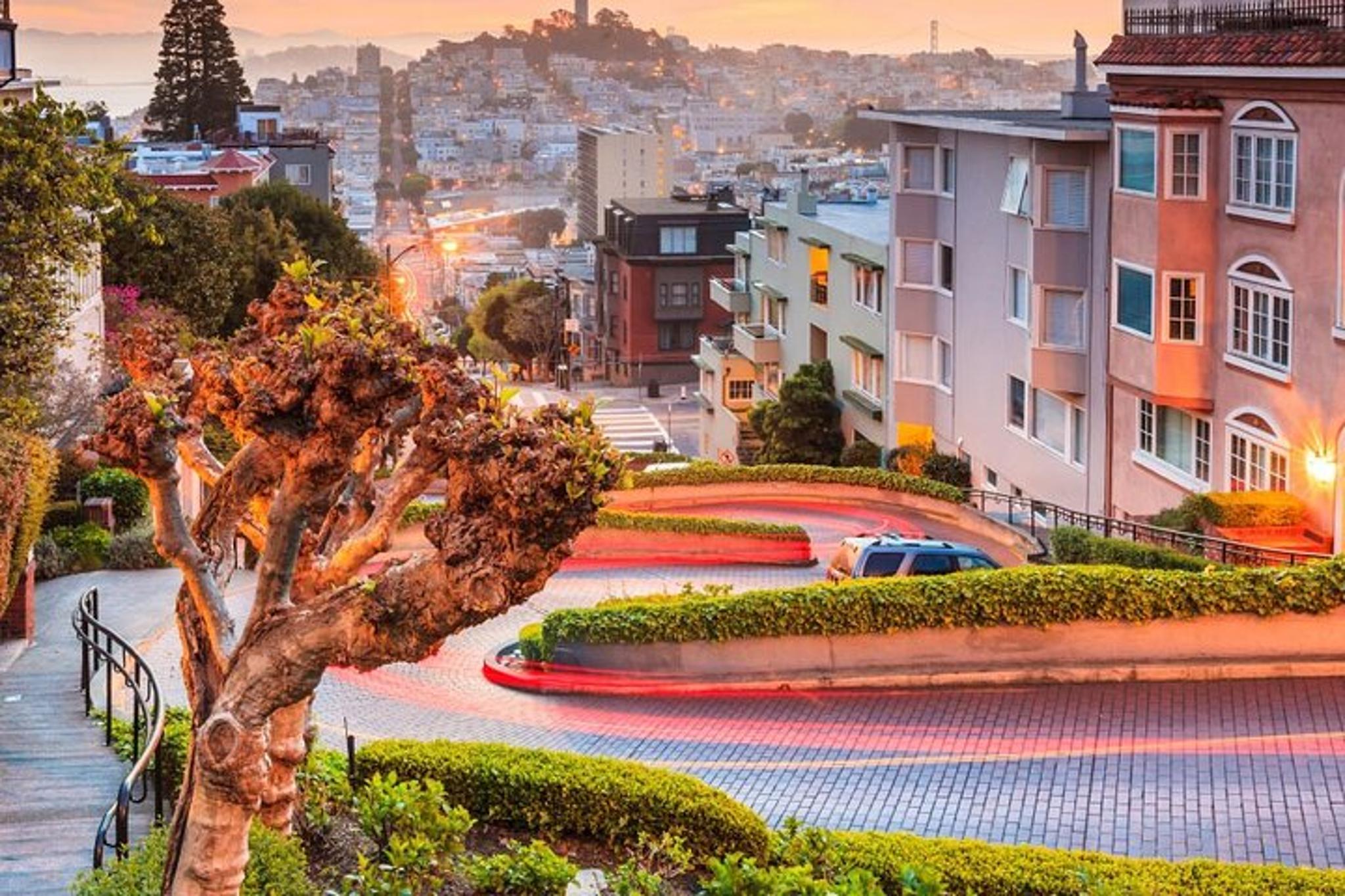 San Francisco Private Sightseeing Tour 3 hr - Image 5