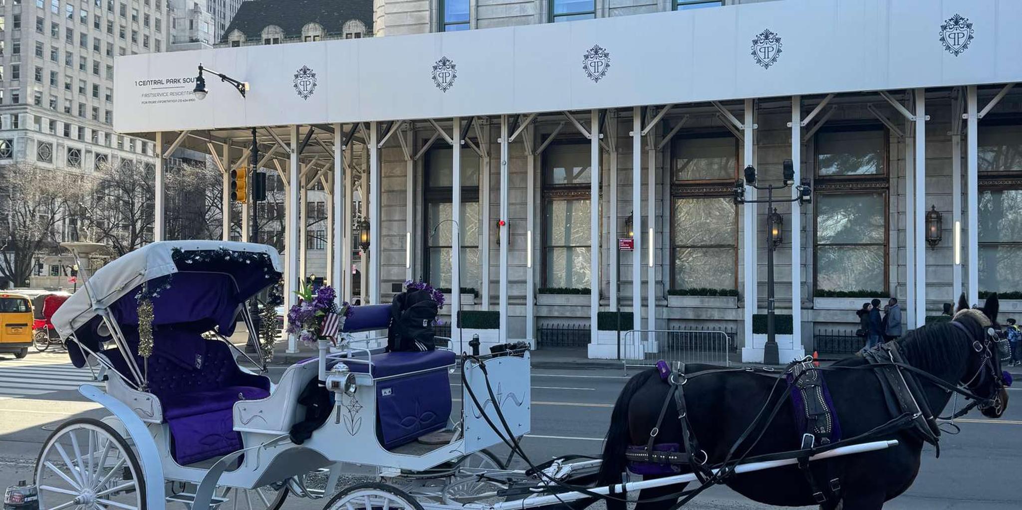 New York City Central Park Horse Carriage Ride - Image 5