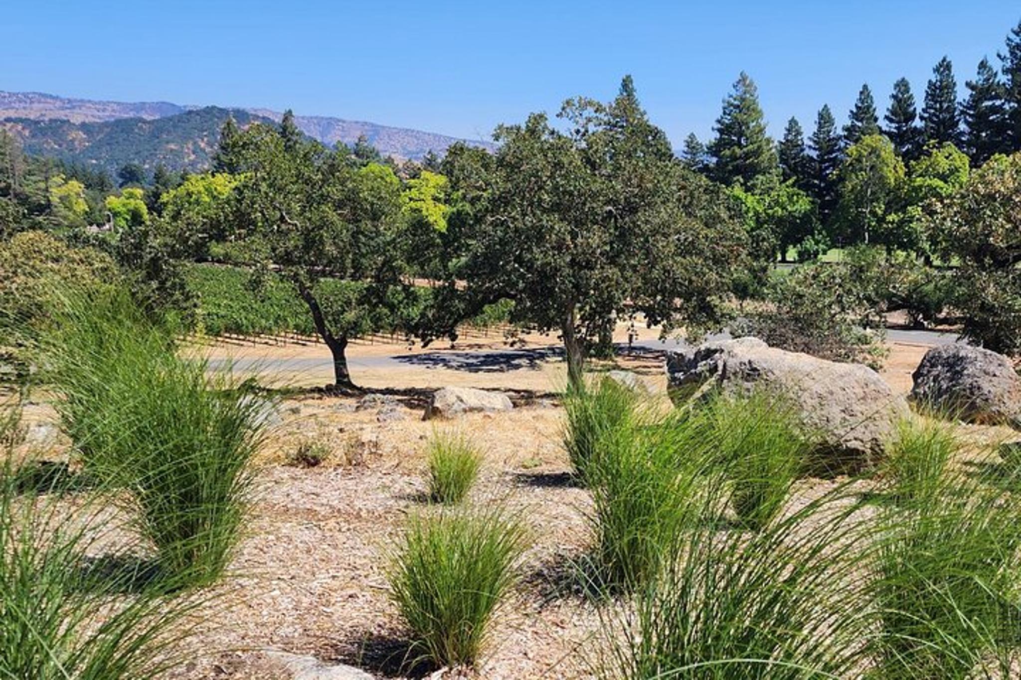 Sonoma and Napa Champagne and Wine Tour - Image 6