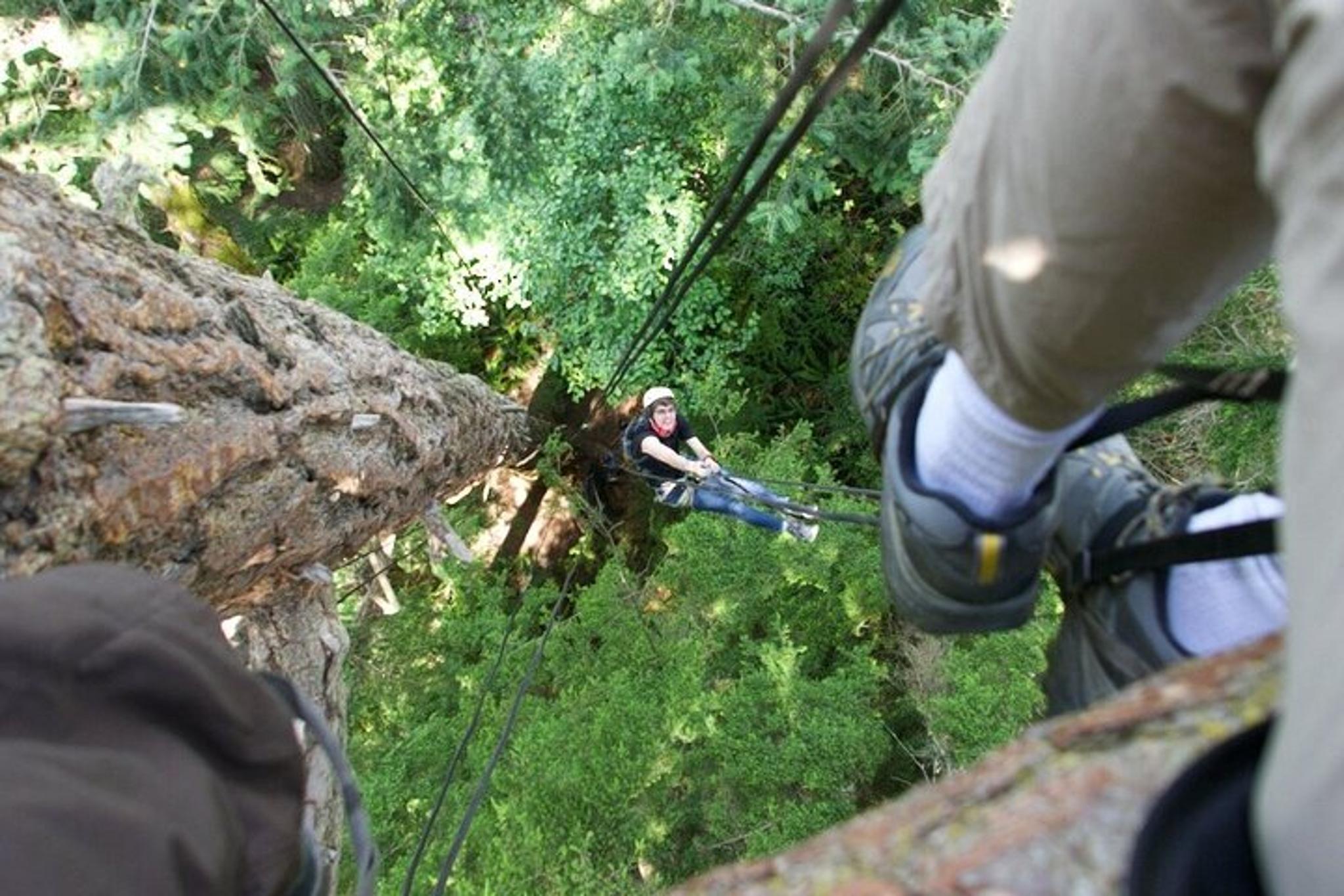 Lopez Island Tree Canopy Climbing - Image 4