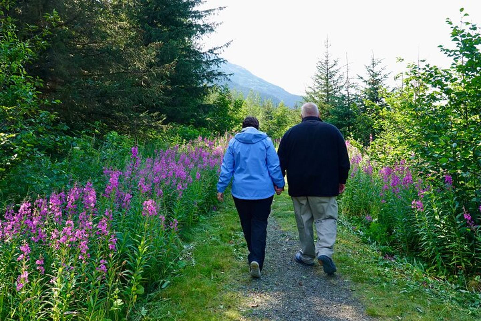 Anchorage Scenic Turnagain Arm Glacier Tour - Image 5