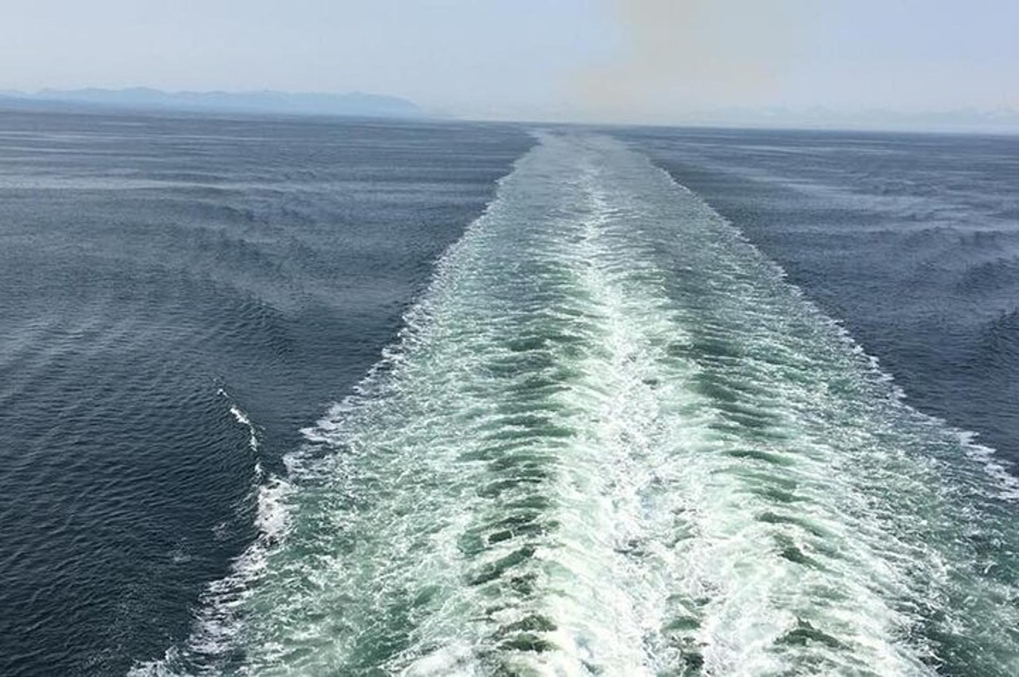 Seattle Olympic National Park Van/Ferry Tour - Image 5