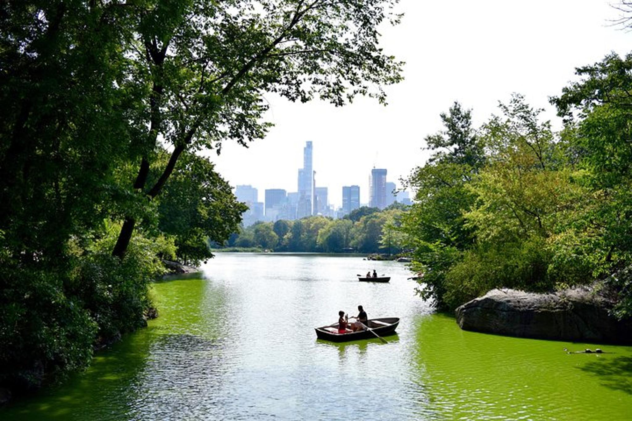 New York Central Park Photo or Video Experience - Image 2