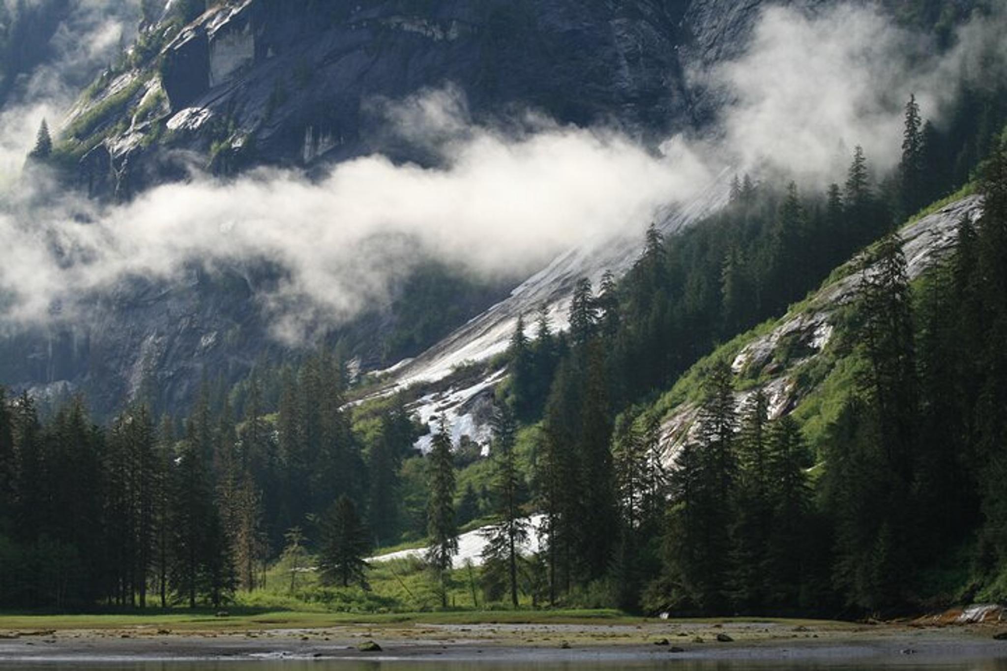 Ketchikan Boat Tour of Misty Fjords - Image 4