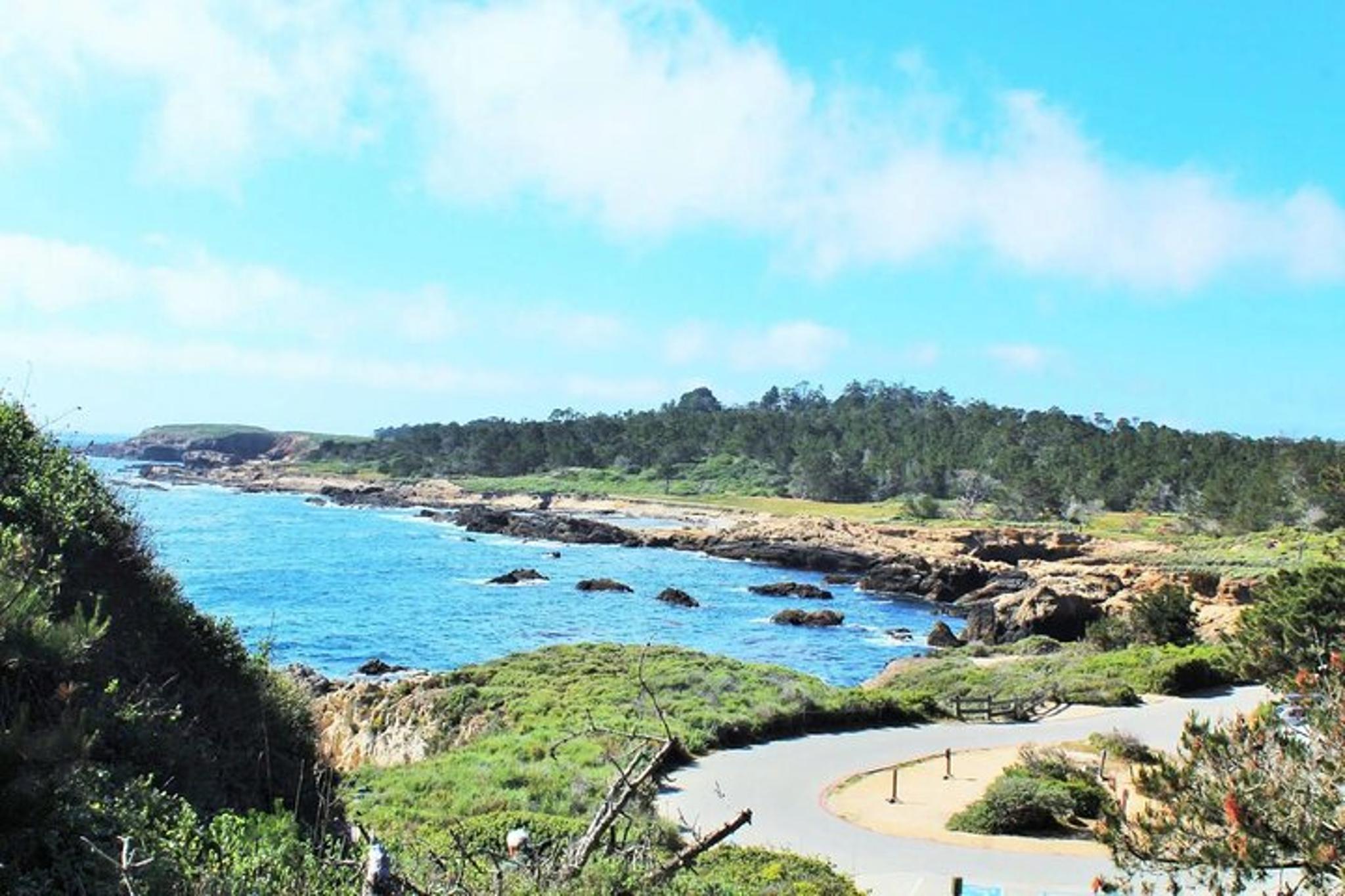 Point Lobos Self-Guided App Tour - Image 2