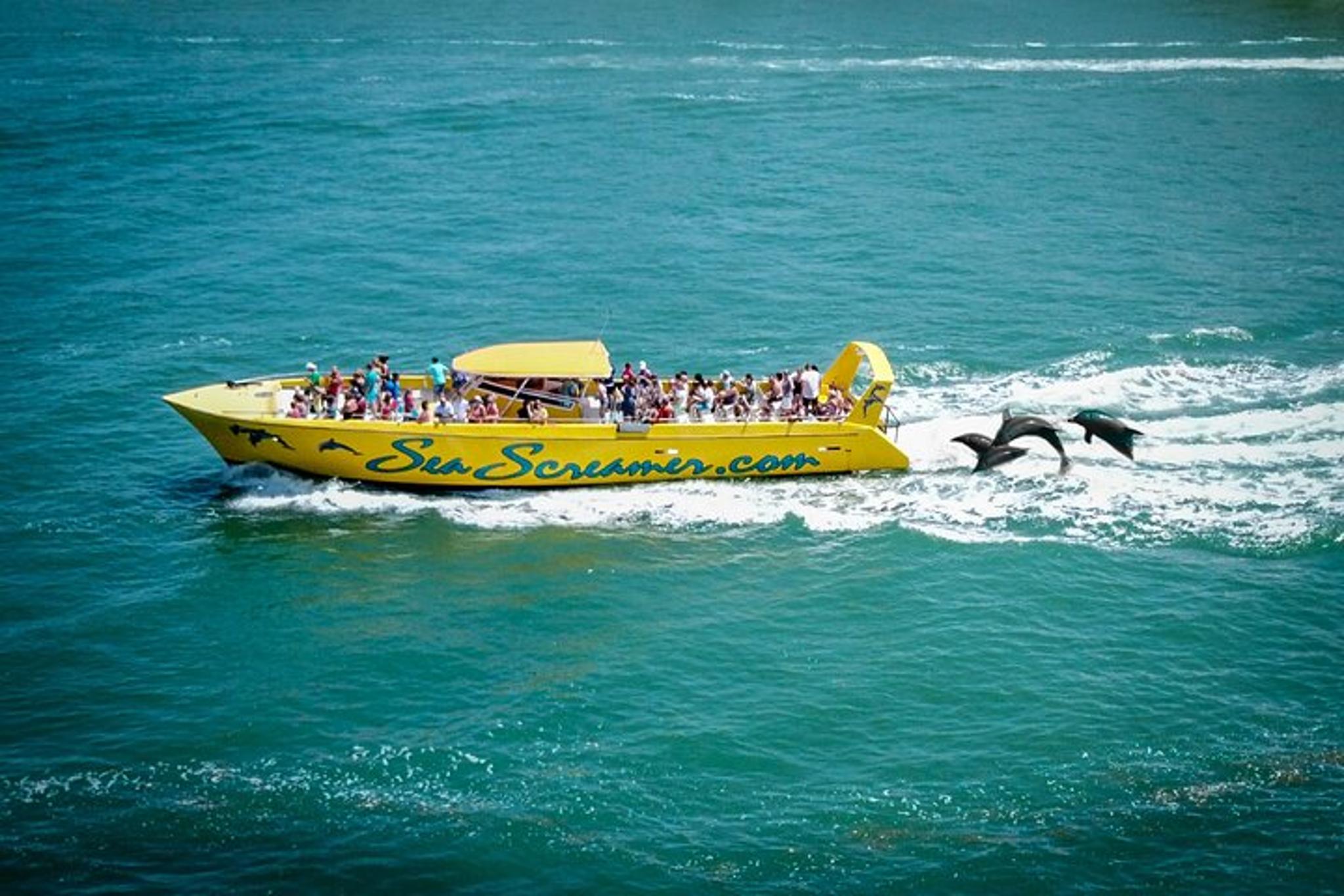 Clearwater Dolphin Watching Speed Boat Tour