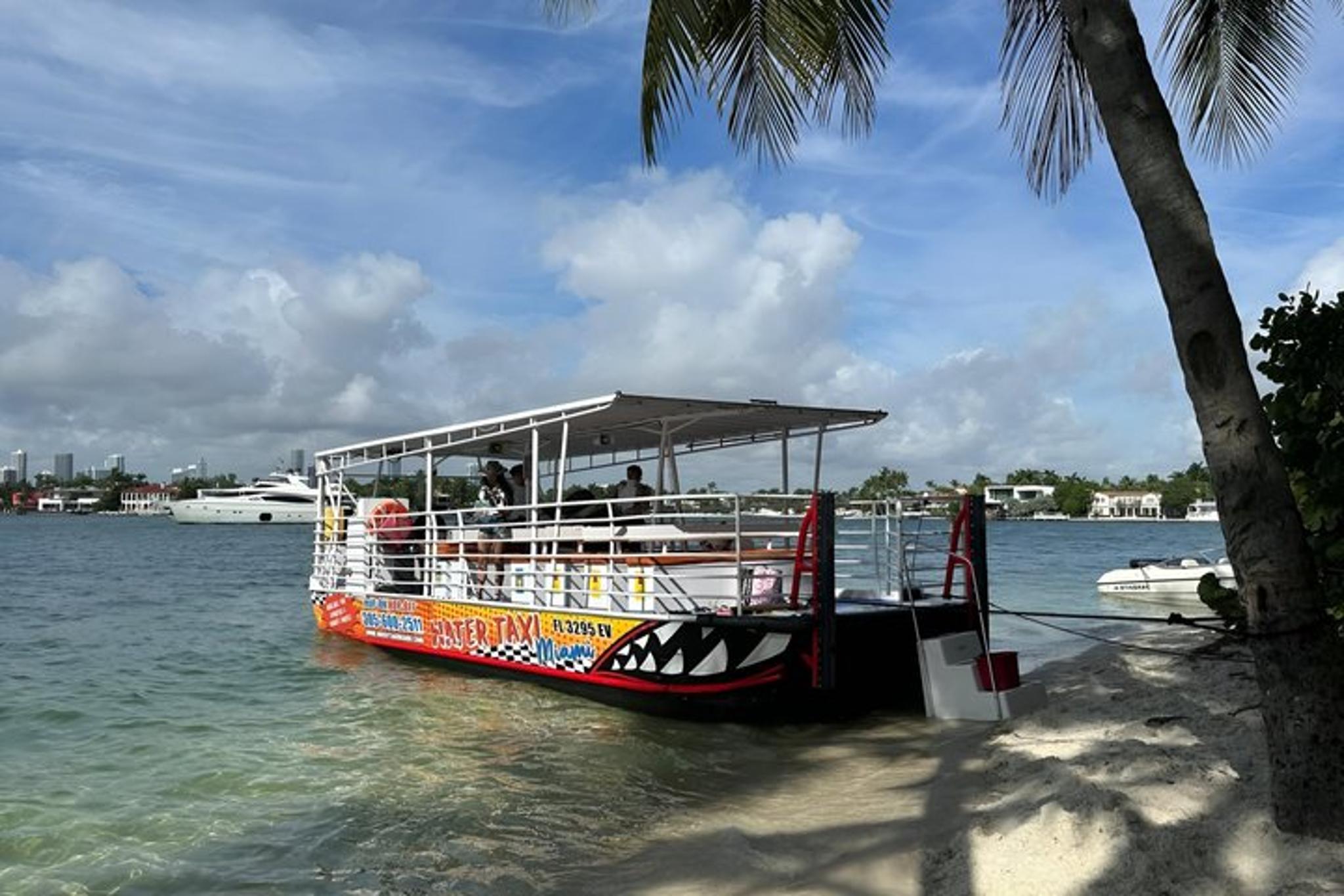 Miami Snorkeling Adventure off a Secluded Island - Image 3