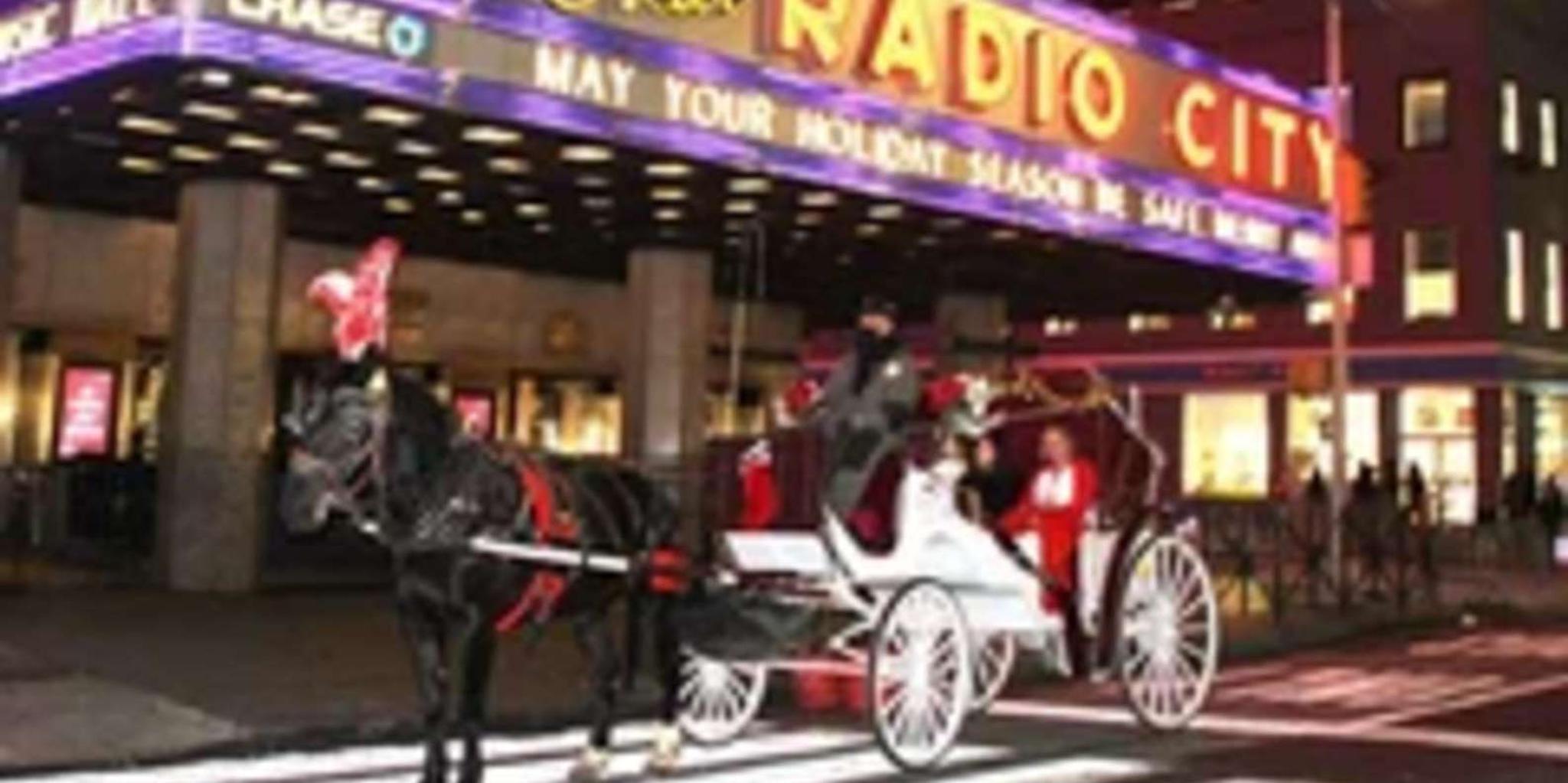 New York City Central Park Horse Carriage Ride 45 Min - Image 6