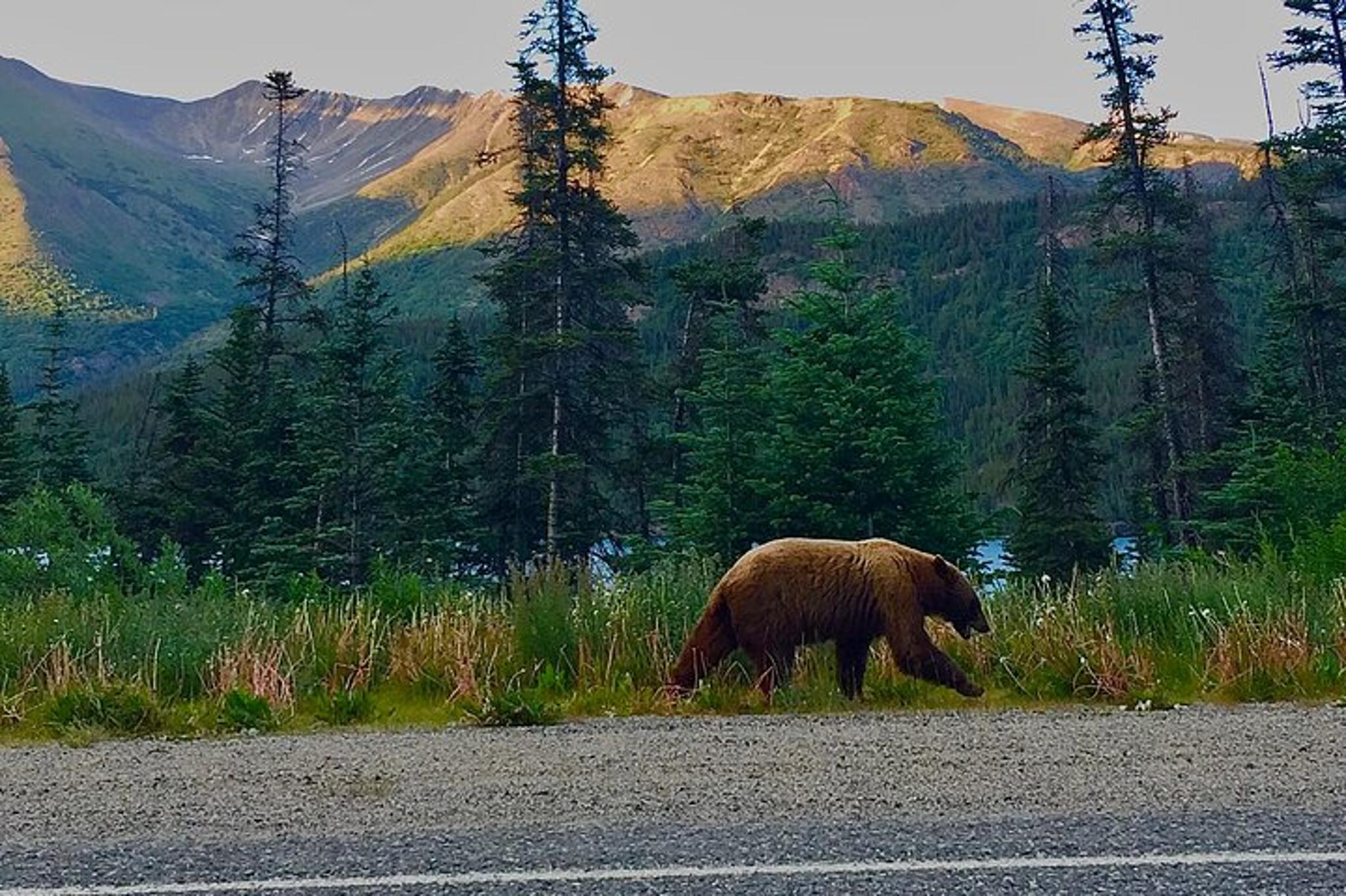 Skagway Shore Excursion to Emerald Lake - Image 5