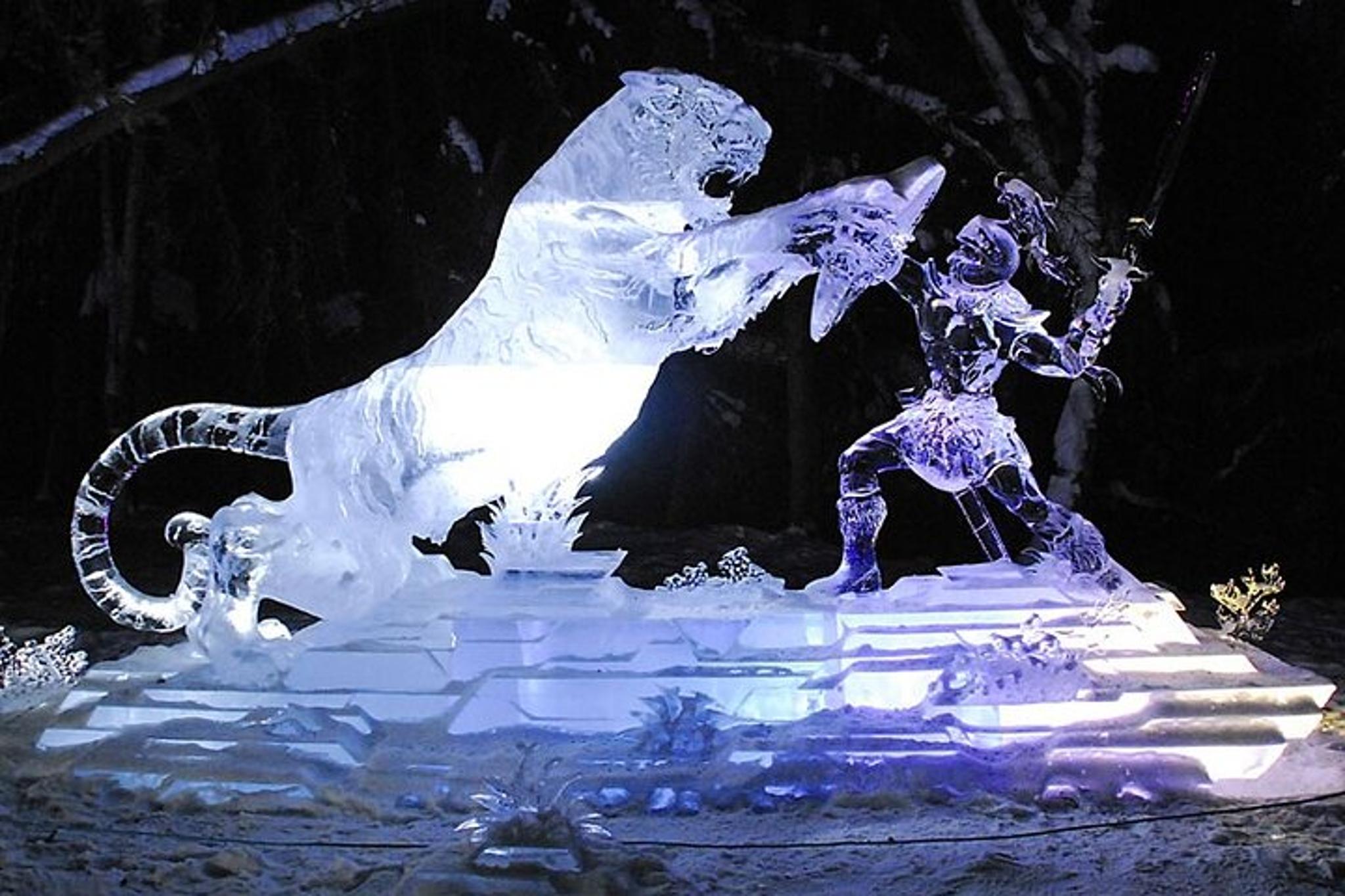 Fairbanks Chena Hot Springs Aurora Tour - Image 6