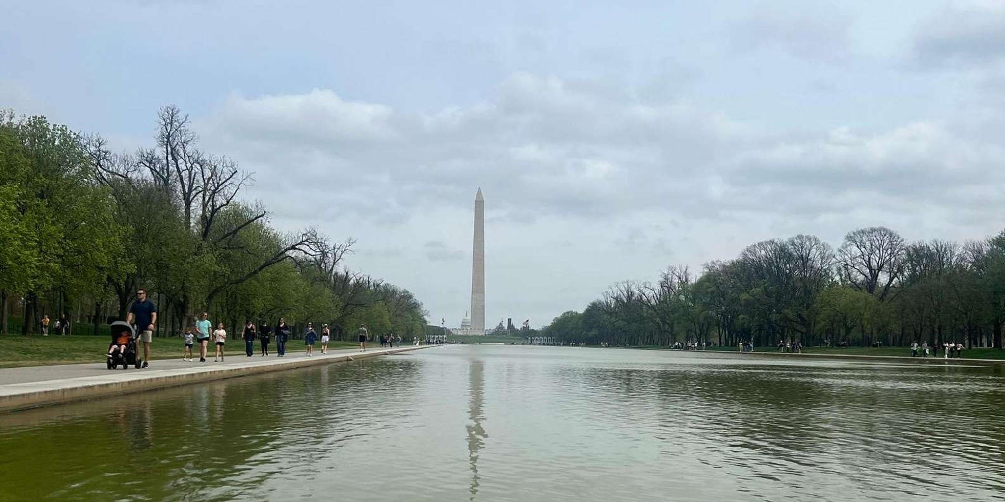 Washington, D.C. Day Trip from New York - Image 2