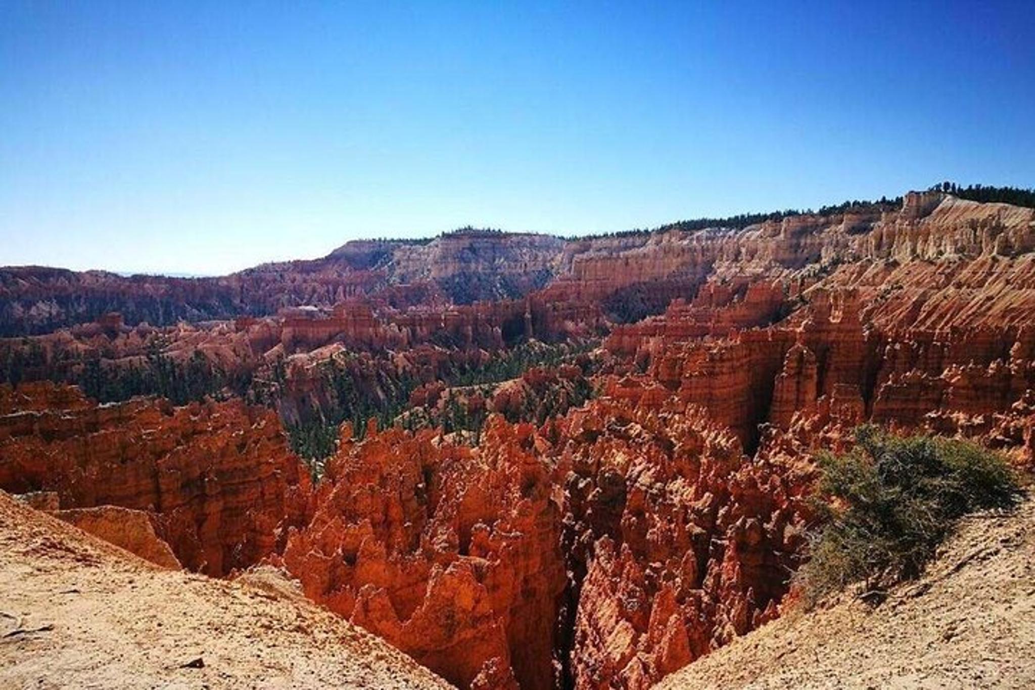 Las Vegas Zion and Bryce Canyon National Park Tour - Image 5