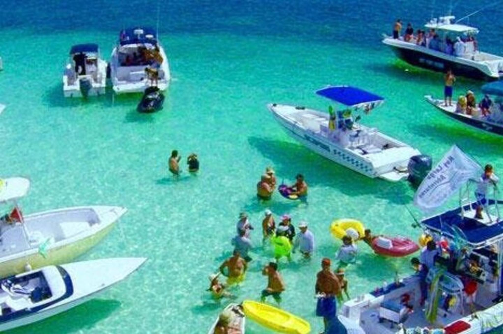 Miami Snorkeling Adventure for Beginners 2 hr - Image 6