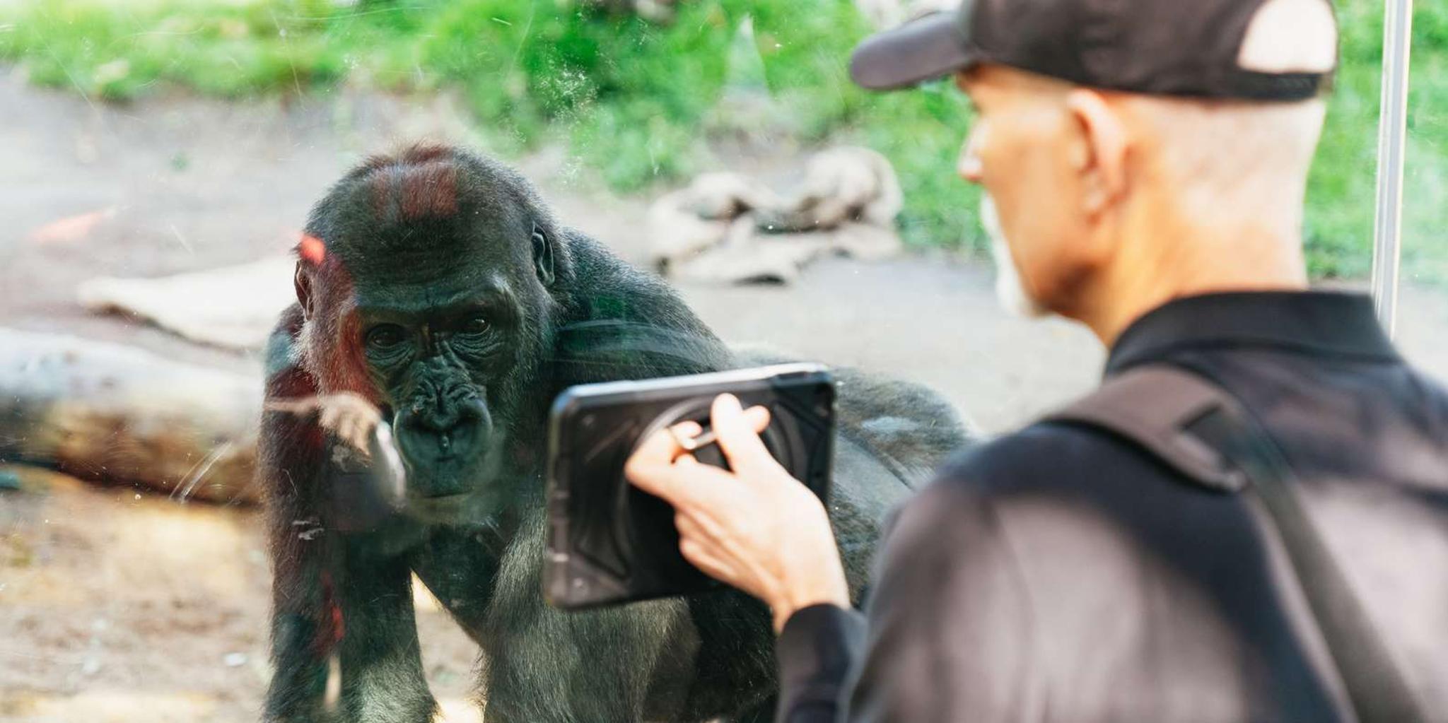 San Diego Zoo Admission Ticket - Image 5