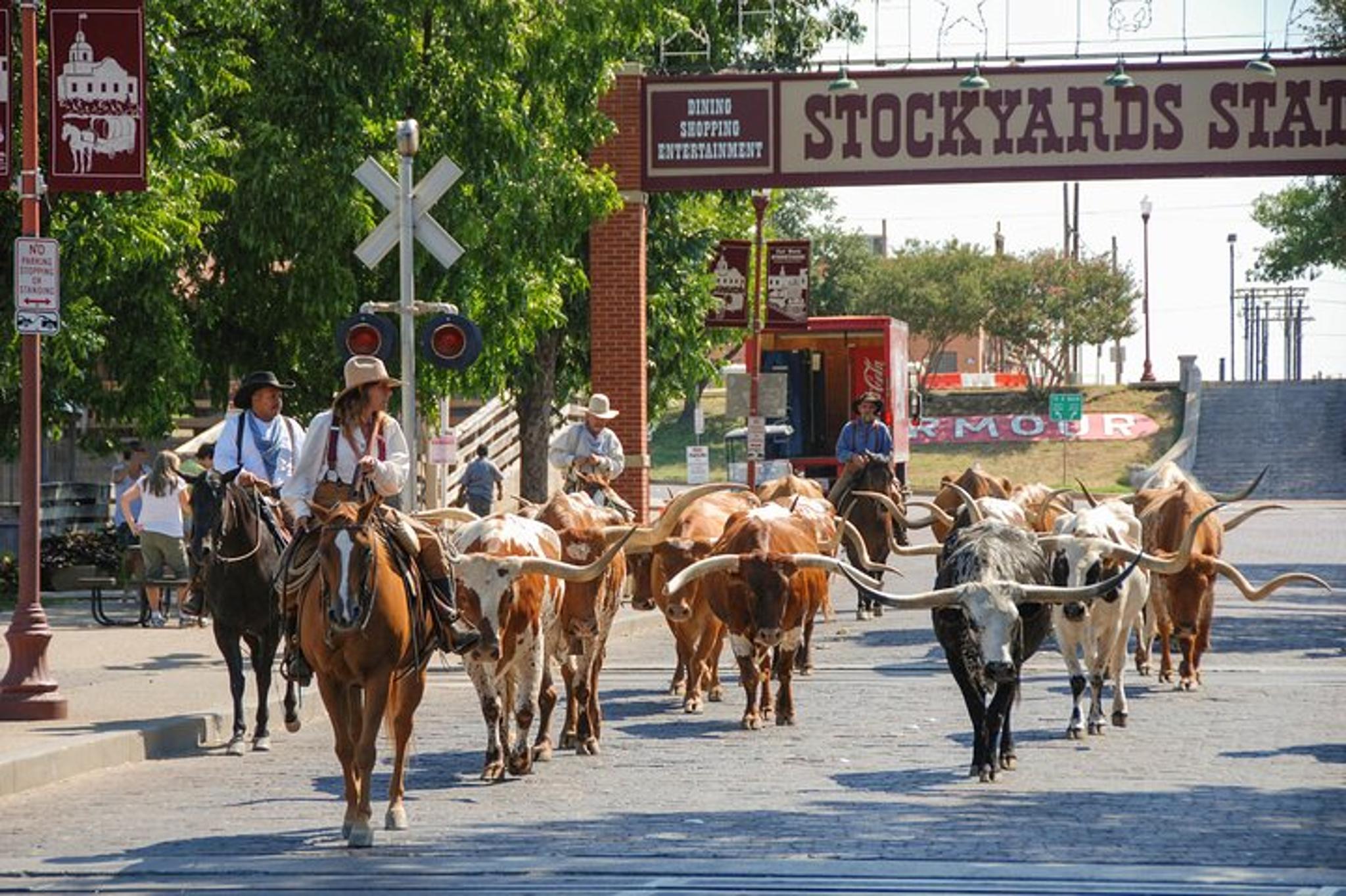 Fort Worth Stockyards Saloon Crawl - Image 3