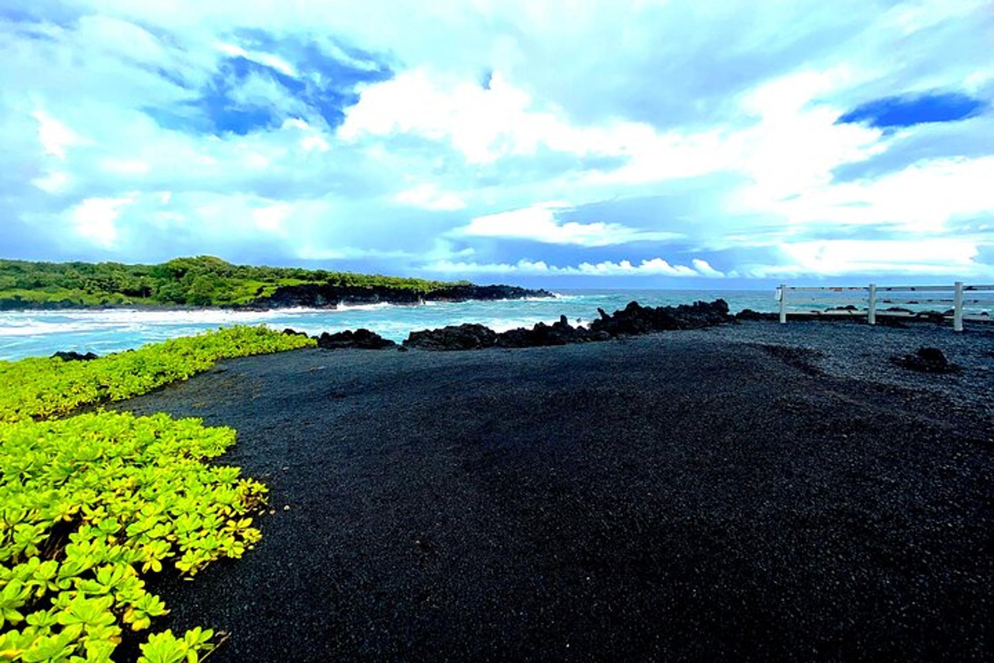 Hana Rainforest Tour - Image 6