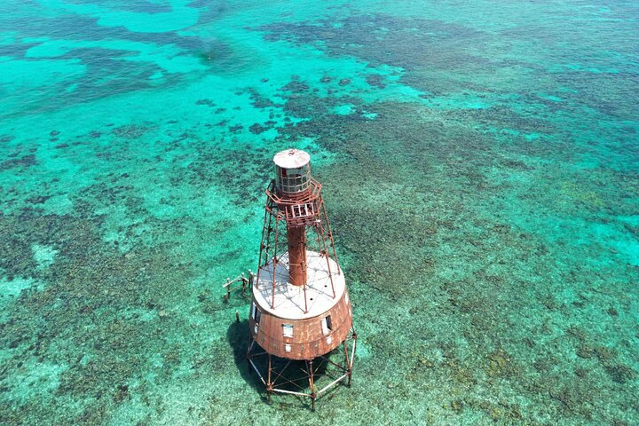 Key Largo Snorkeling Tour at Carysfort Lighthouse