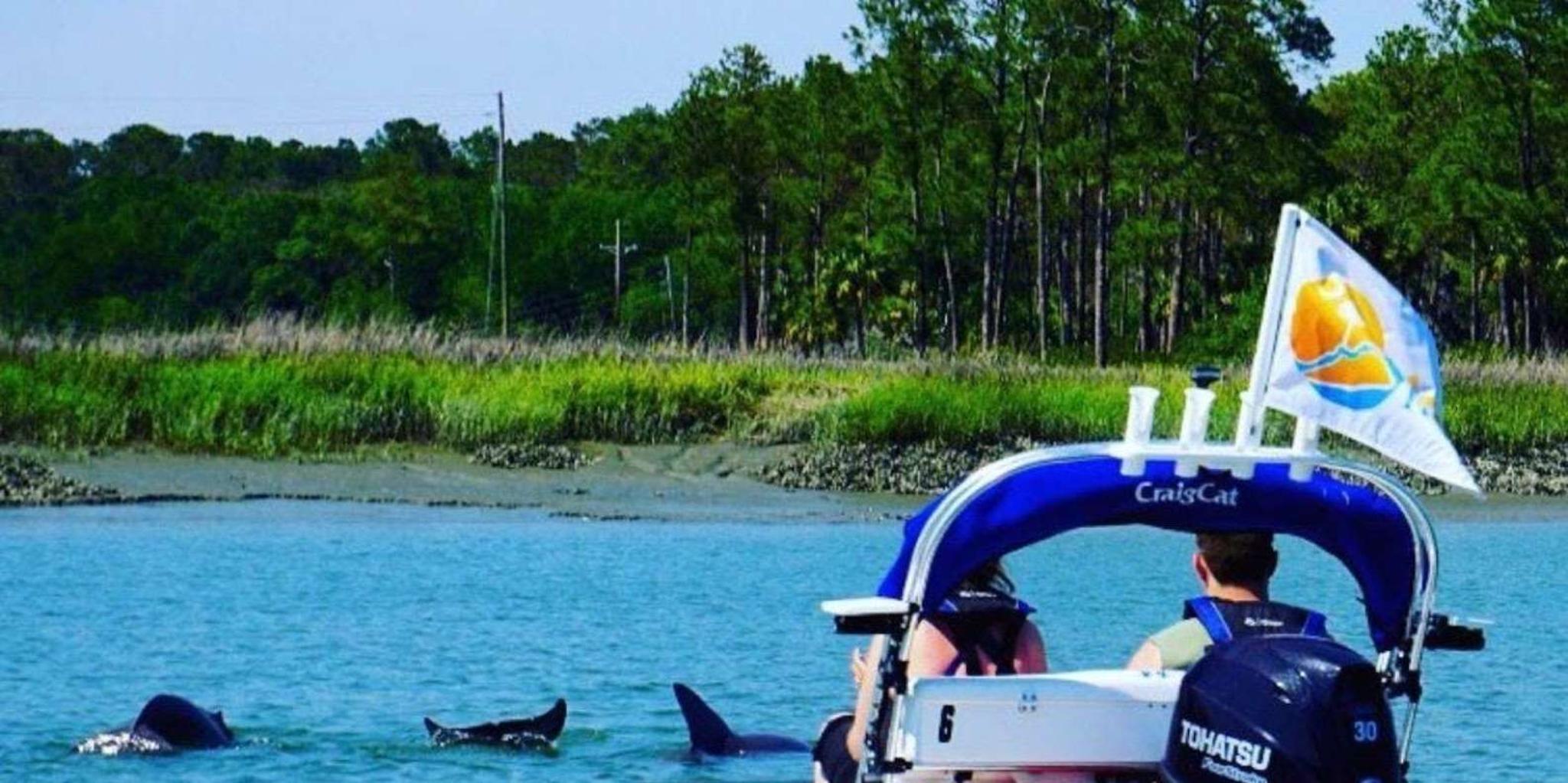 Hilton Head Island Creek Cat Tour at Sunset - Image 5