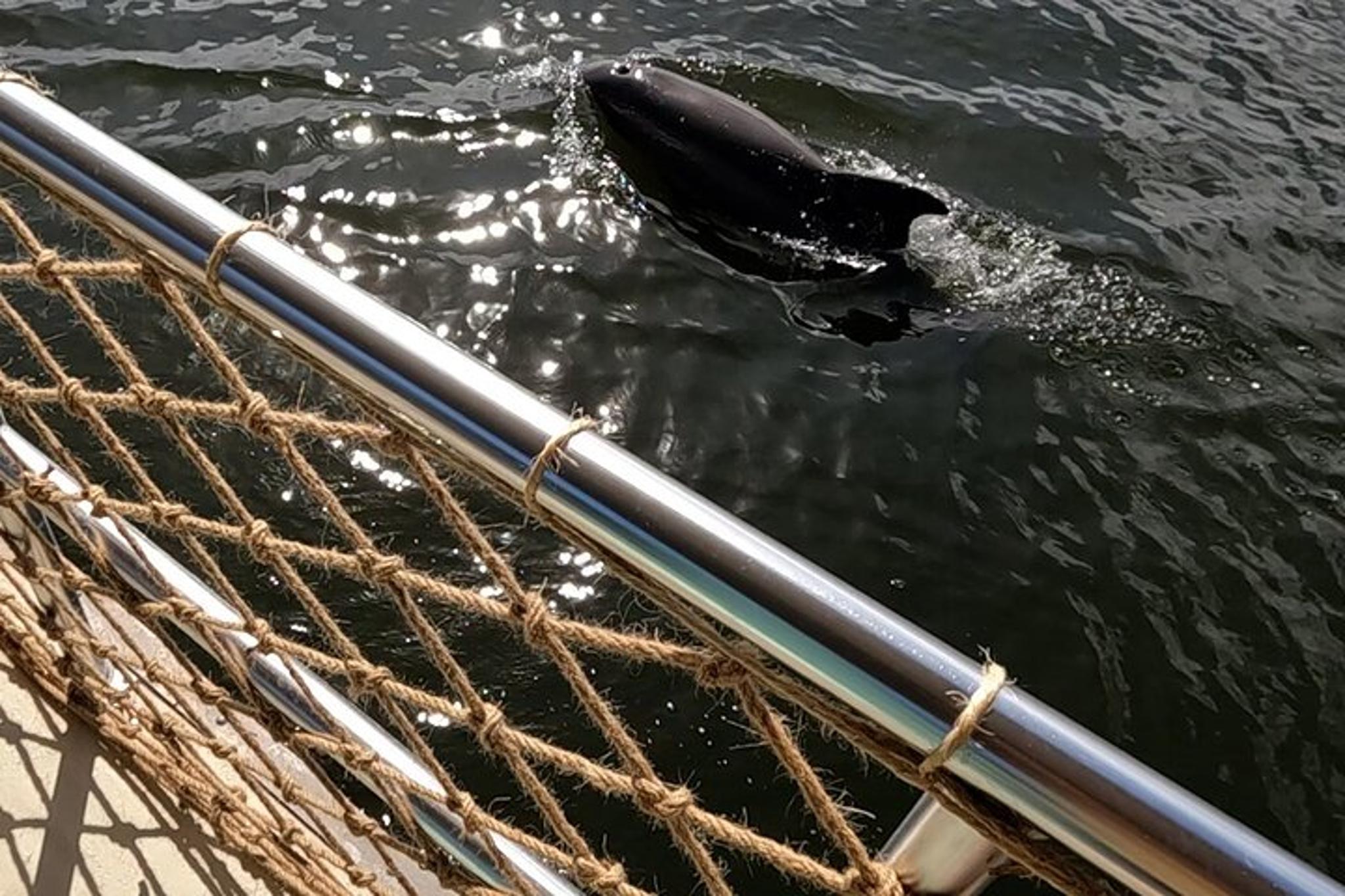 Vero Beach Tiki Boat Tour 90 min - Image 4