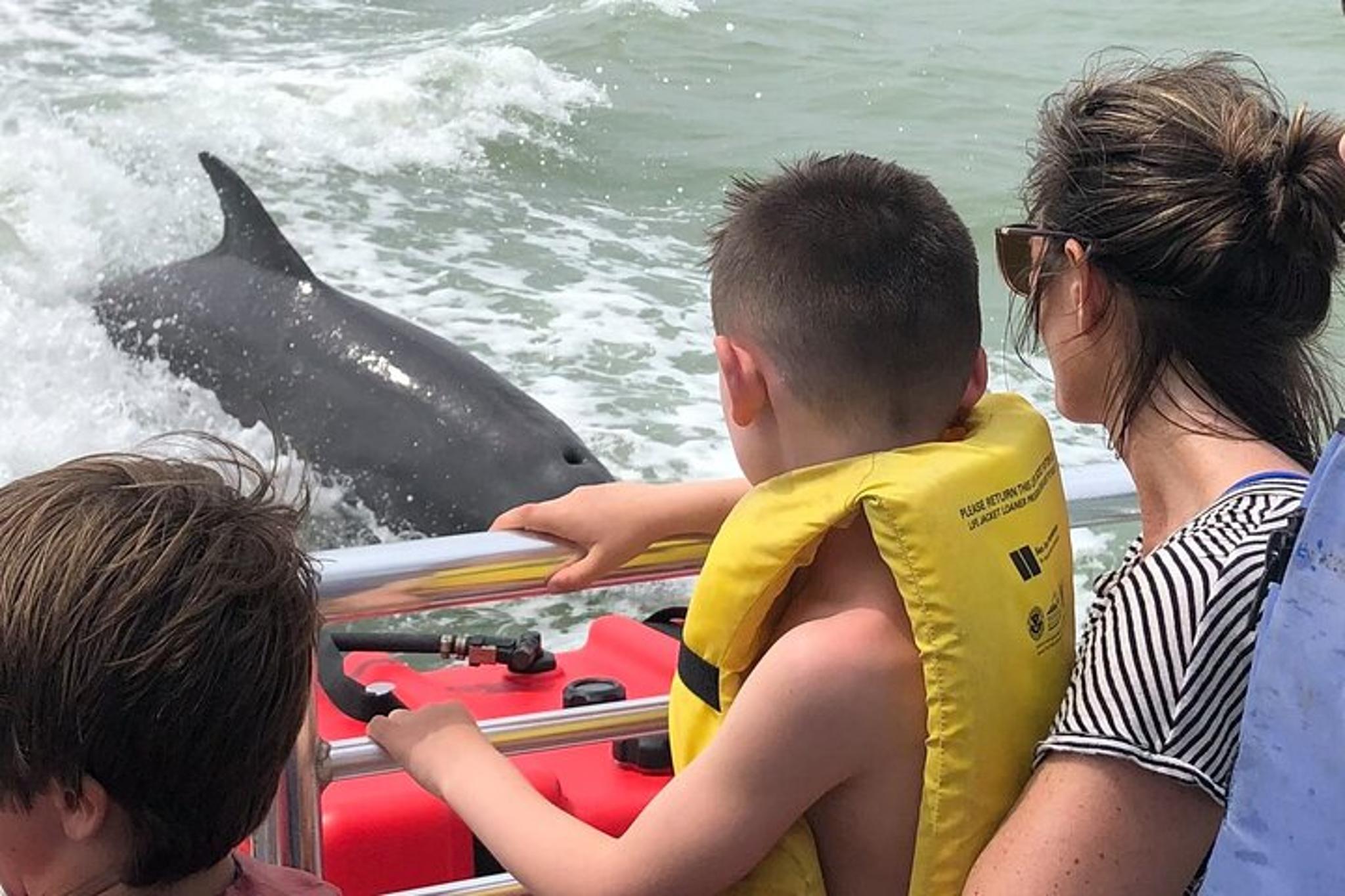 Marco Island Dolphin, Shelling, and Birding Tour - Image 2