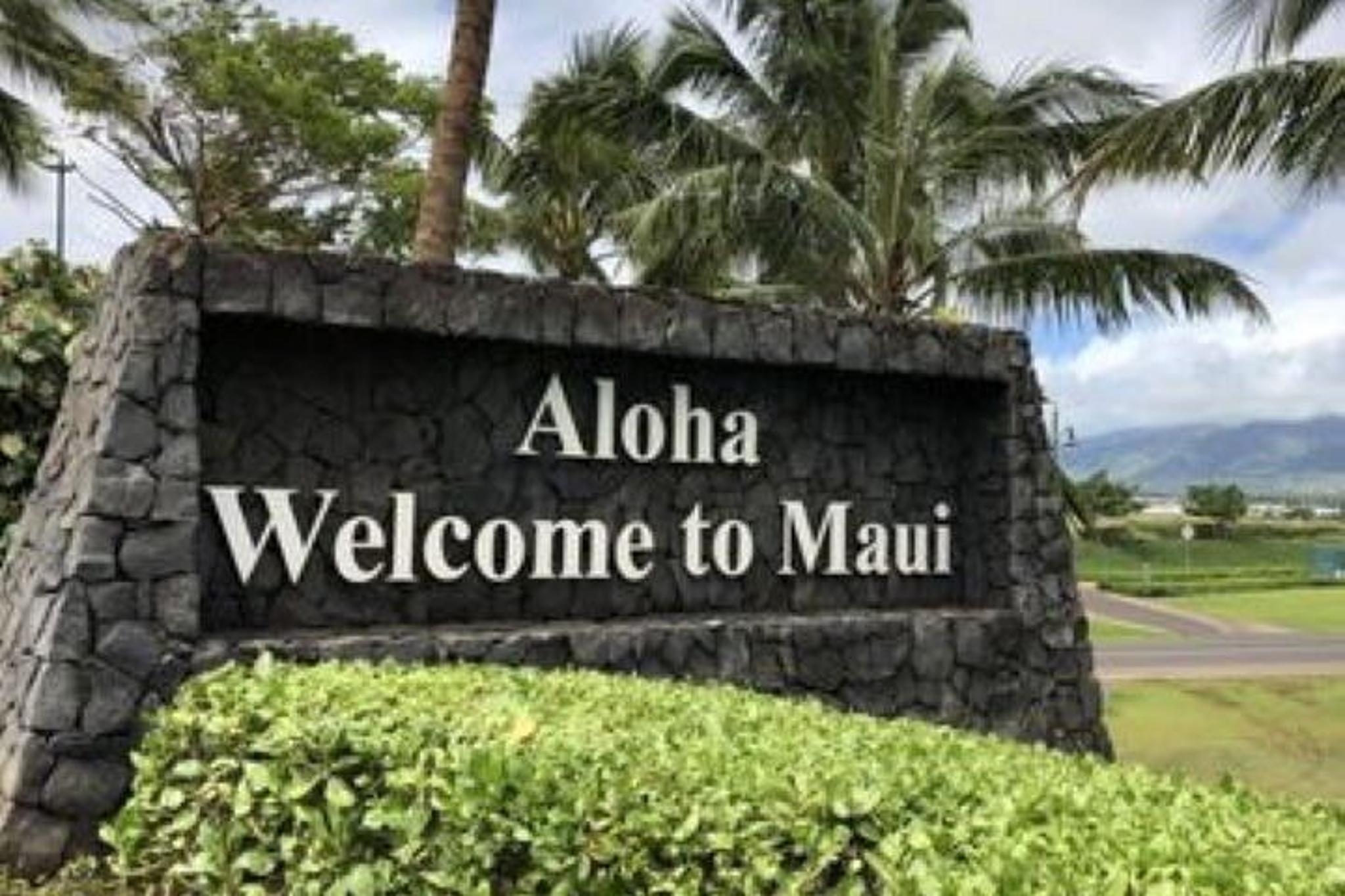 Maui Sightseeing Tour - Image 2