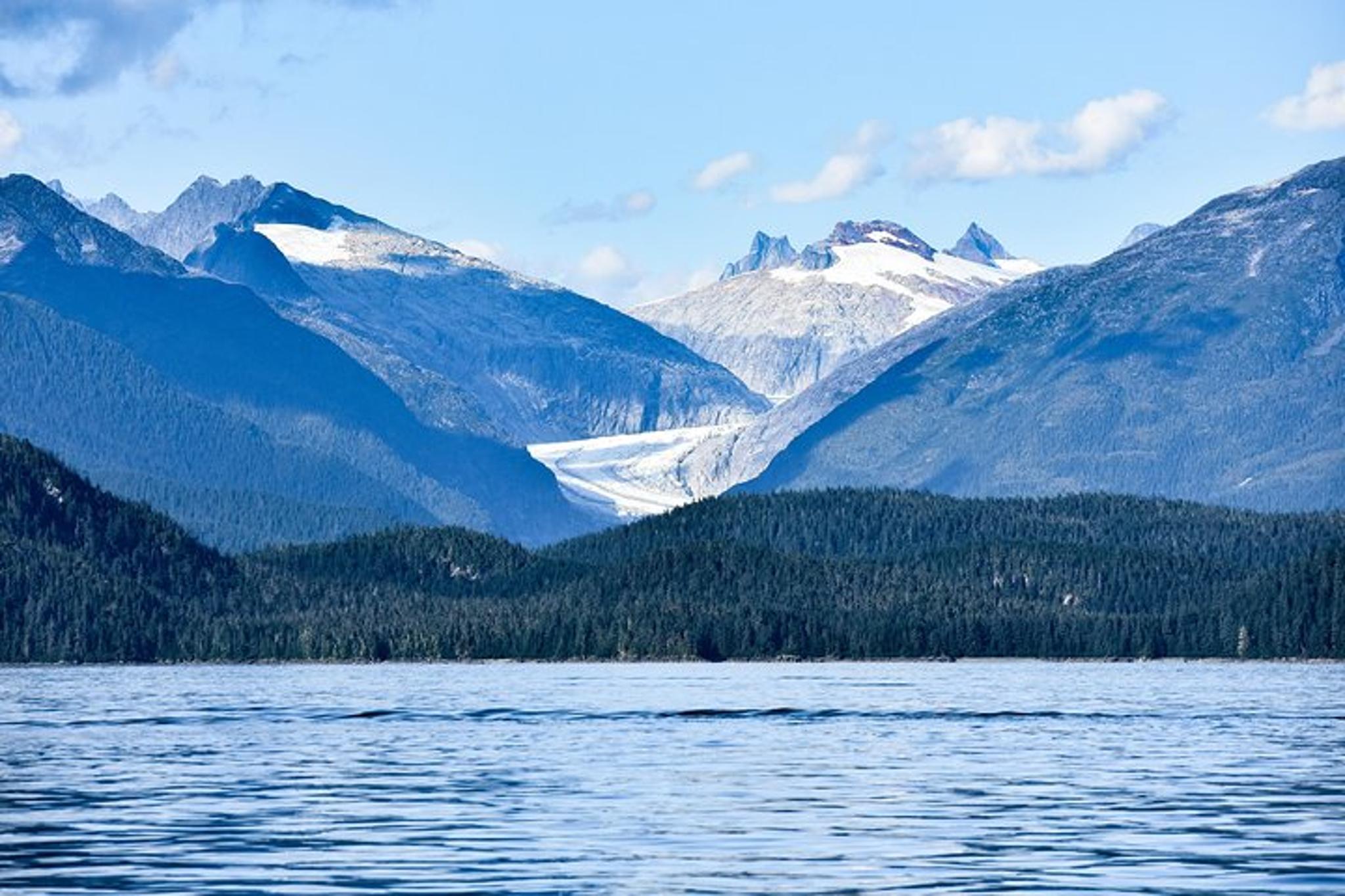 Juneau Whale Watching and Lighthouse Tour - Image 1